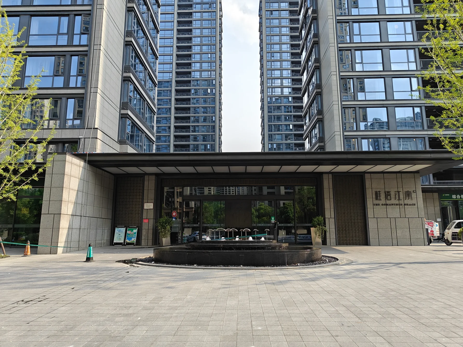 Osmanthus Jiangnan - Photo 7