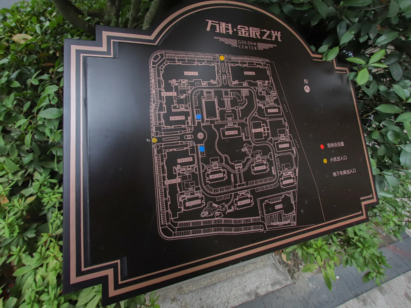 Golden Dawn Light - Photo 22