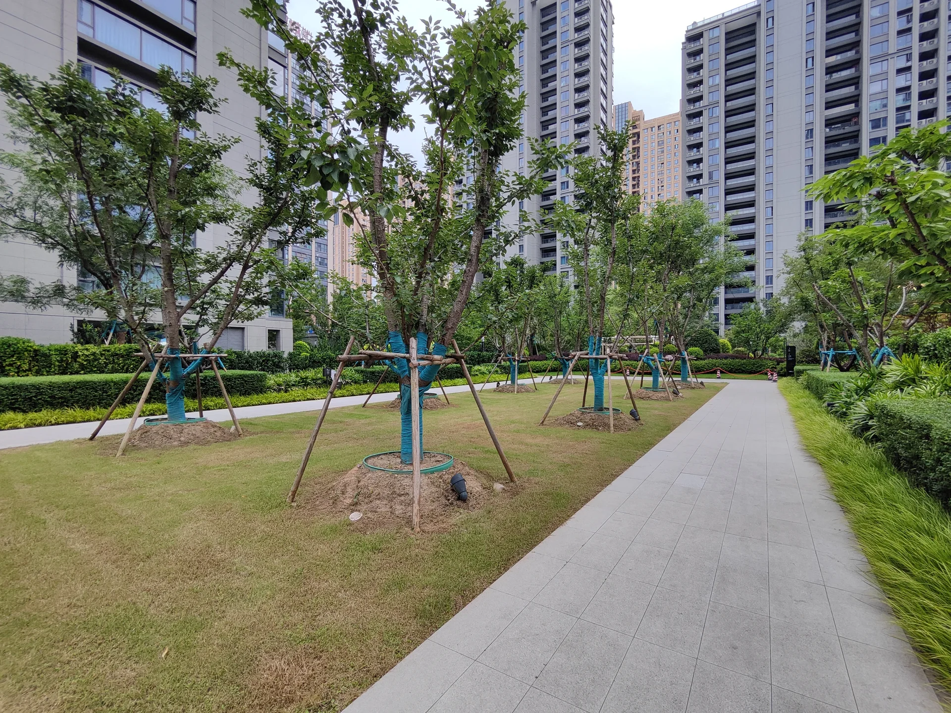 New Hope Cloudside Court - Photo 3