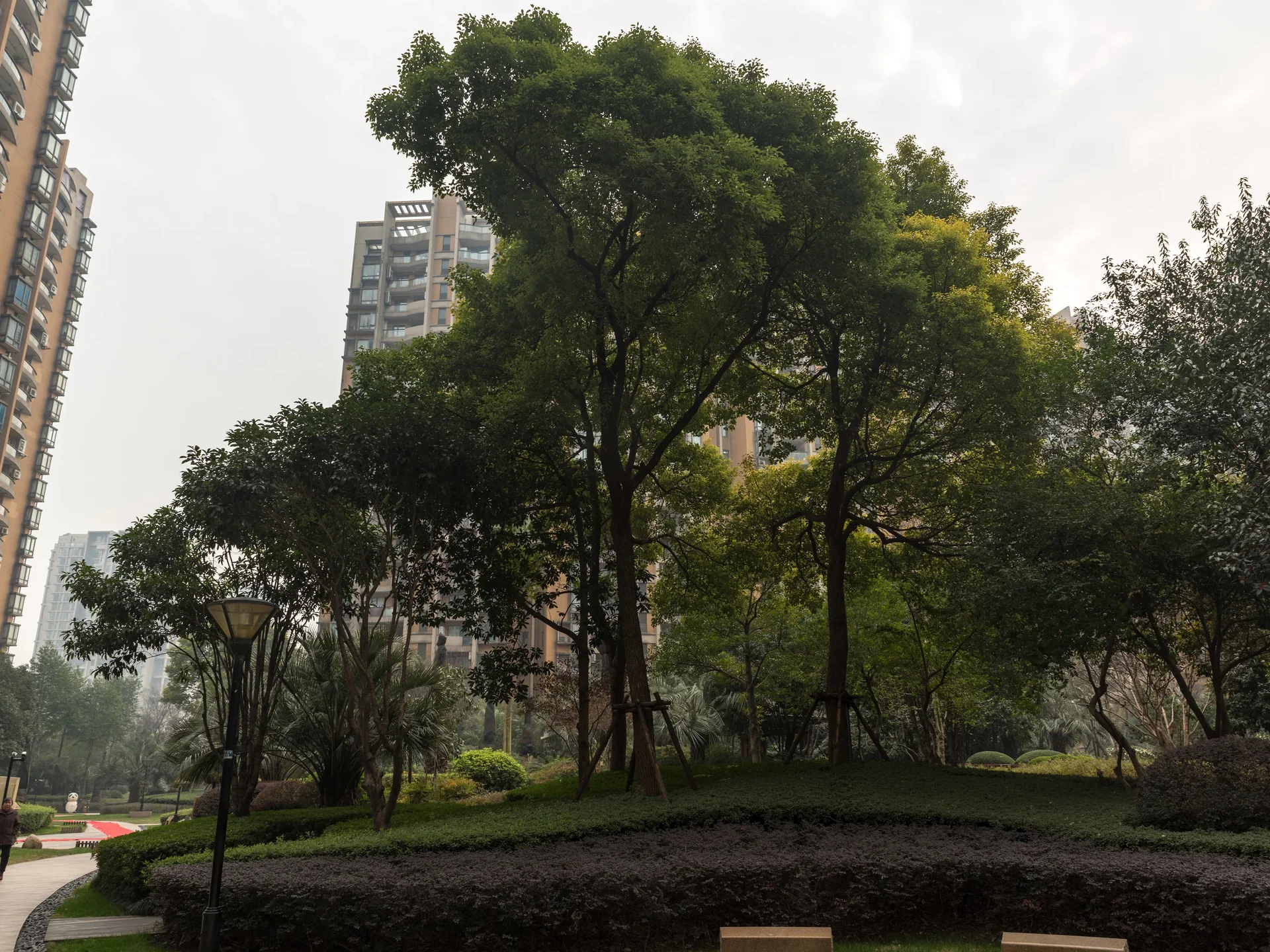 Golden Homes - Photo 15