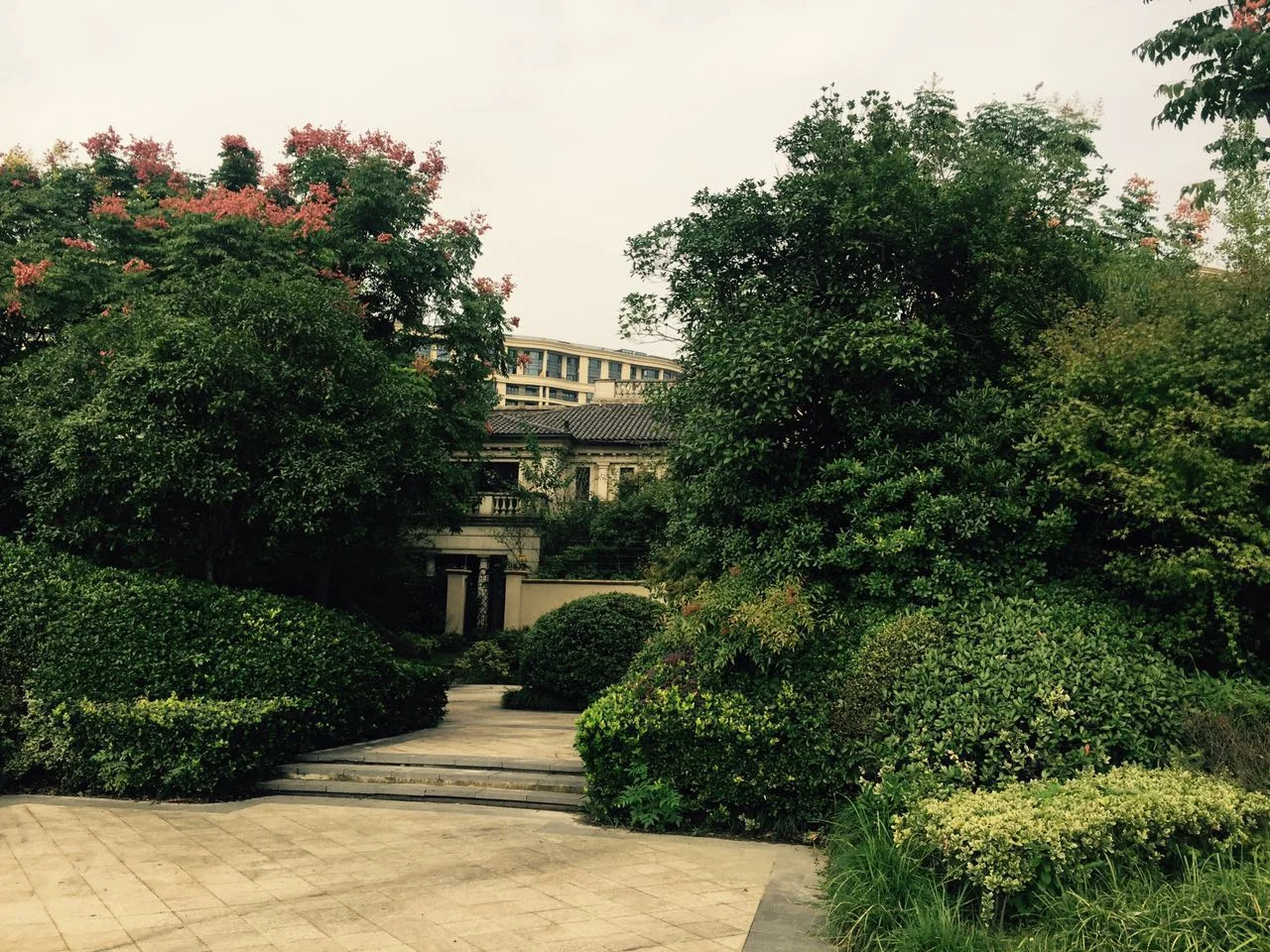 Tulip Shore - Photo 6