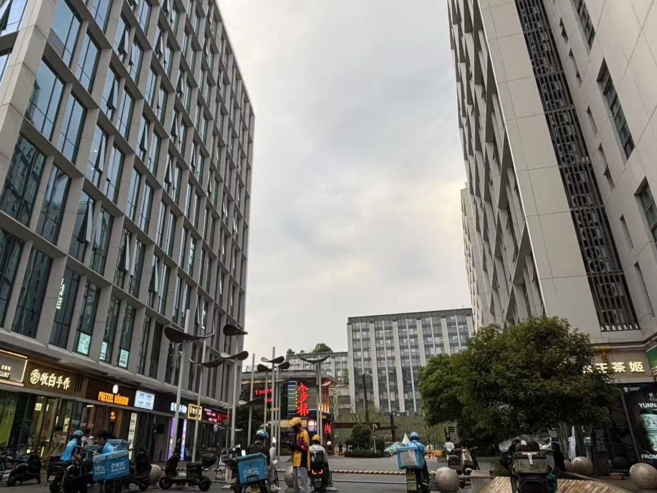 Redbud Radiance - Photo 3