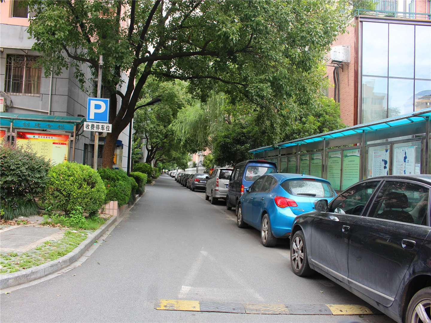 Nandu Garden - Photo 59