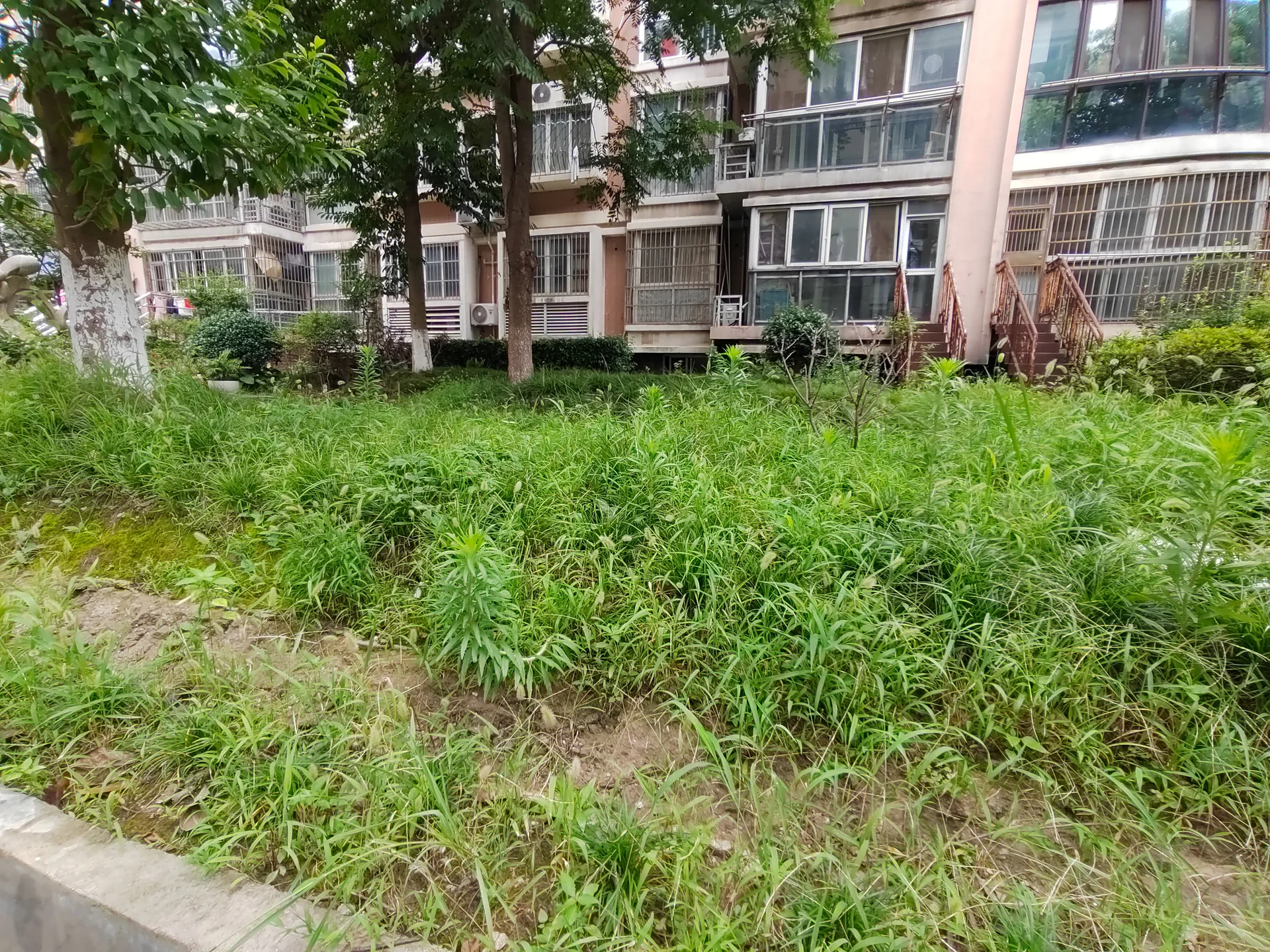 Jinjiang South Garden - Photo 17