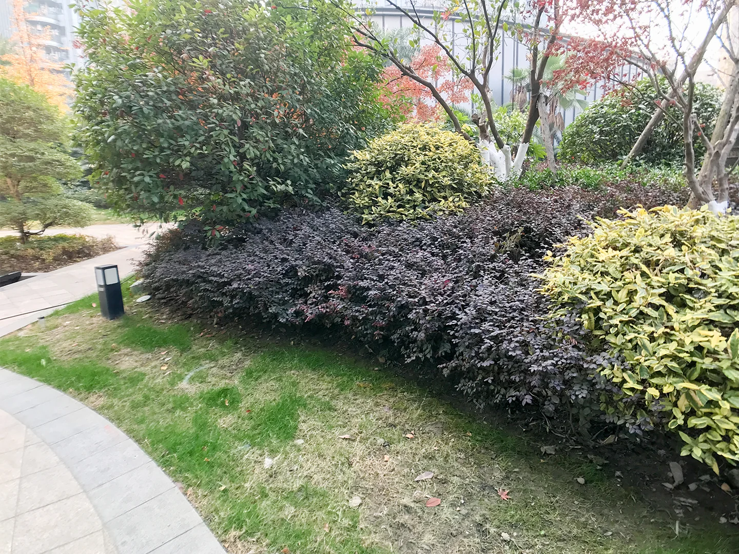 Oriental Royal Mansion - Photo 15