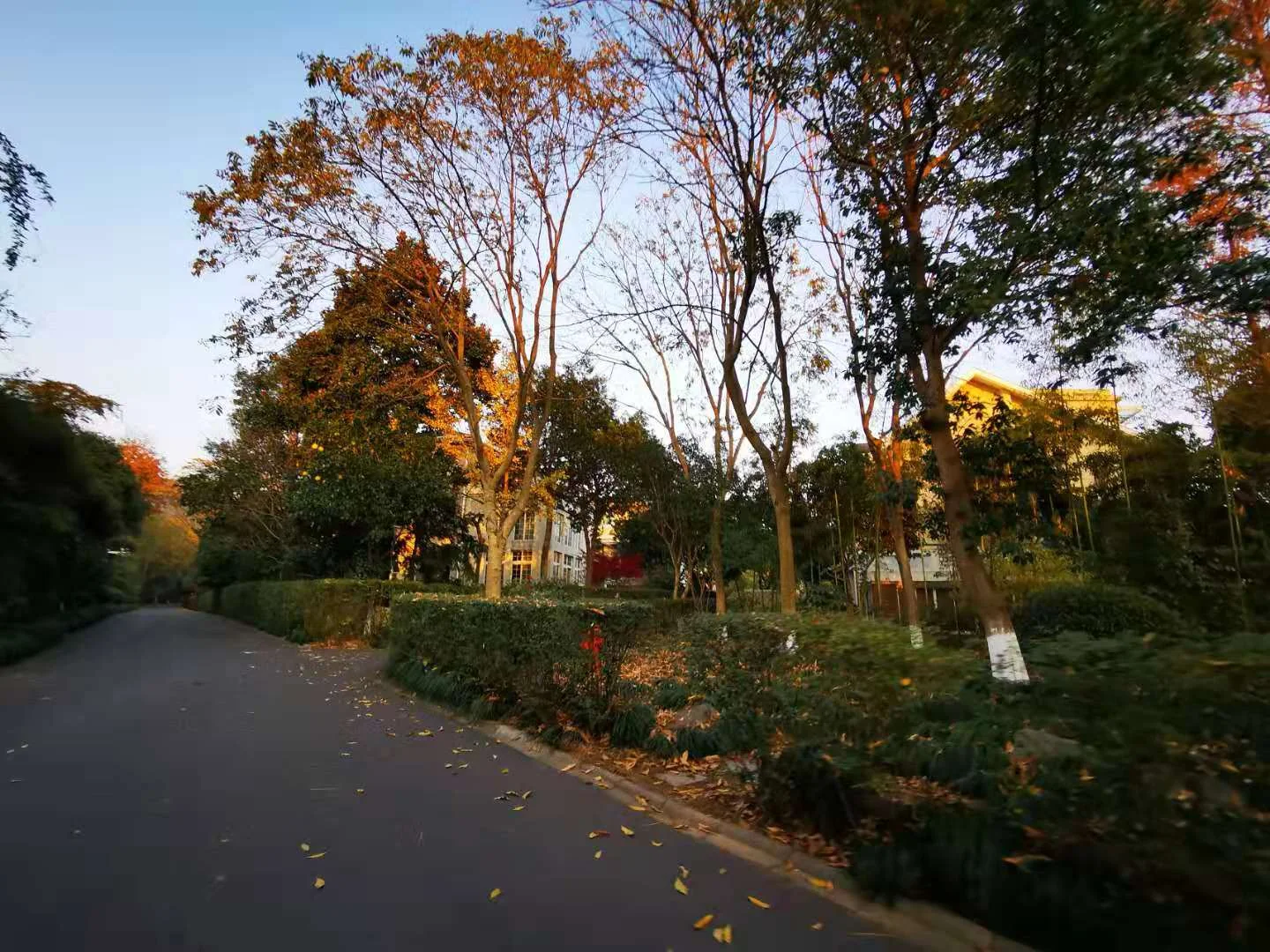 The Moon Bay - Photo 28