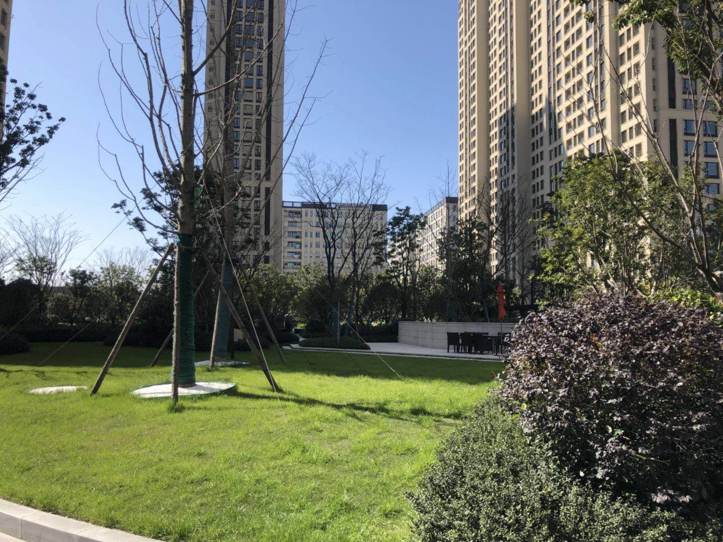 Golden Dawn Light - Photo 7