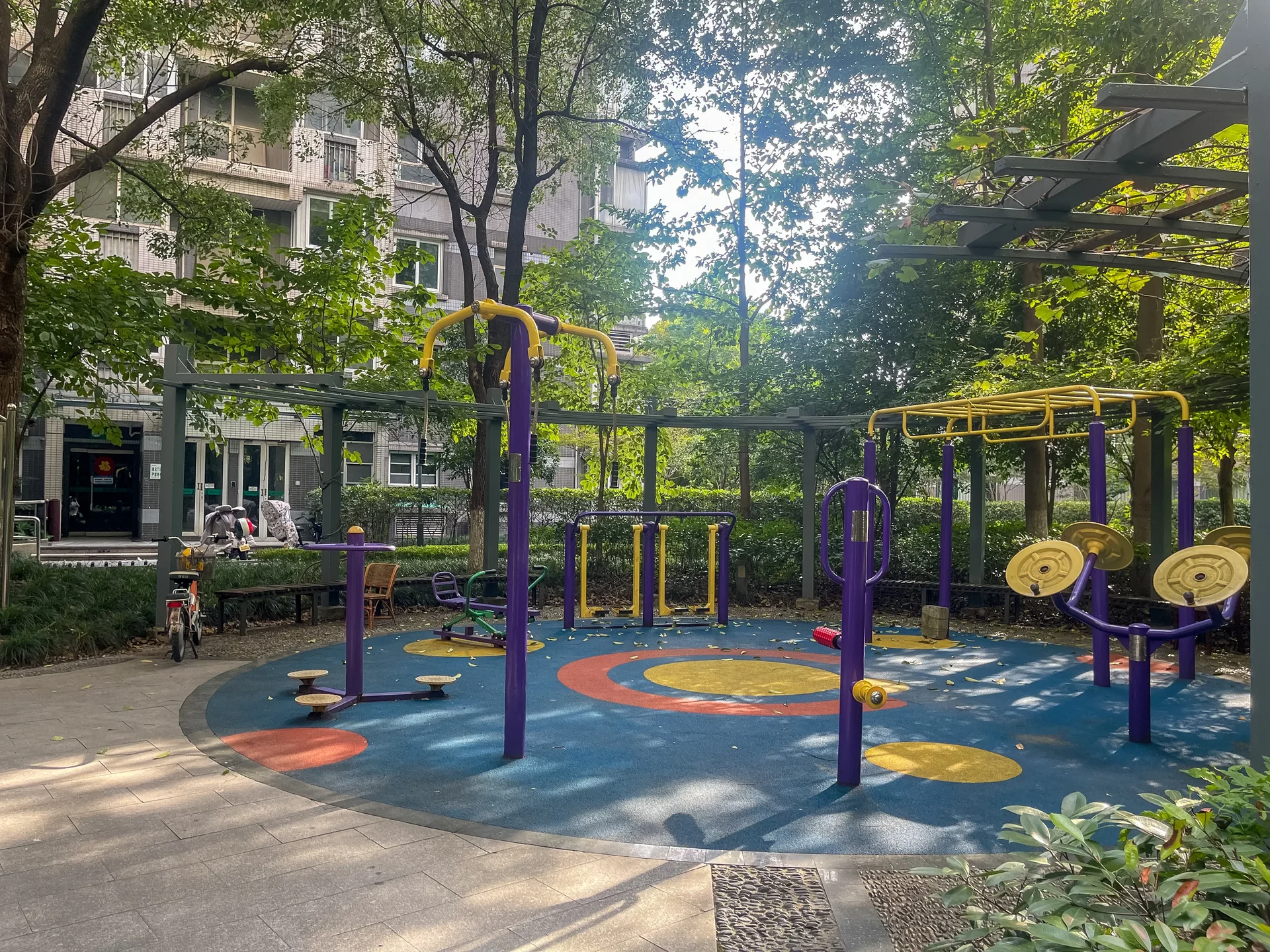 Modern  Garden - Photo 19