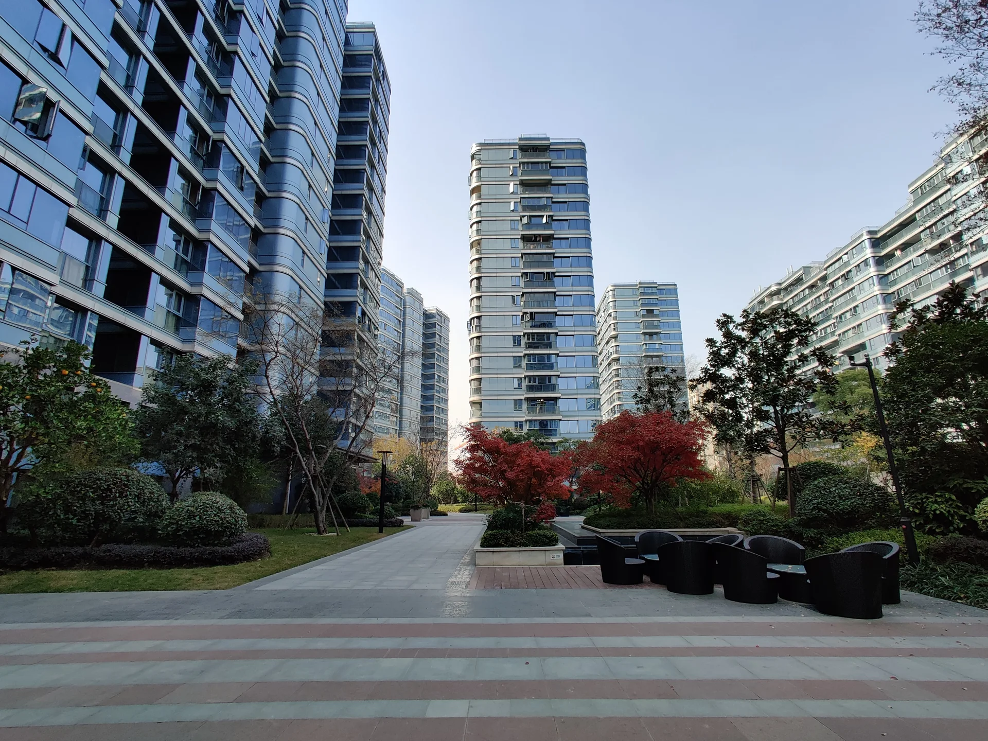 Blue Peacock - Photo 3