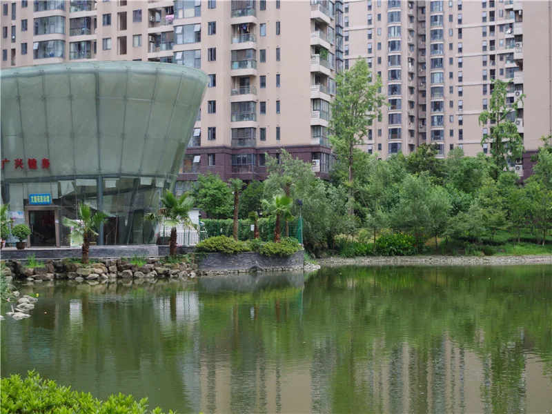 YJ Cultural Garden - Photo 50