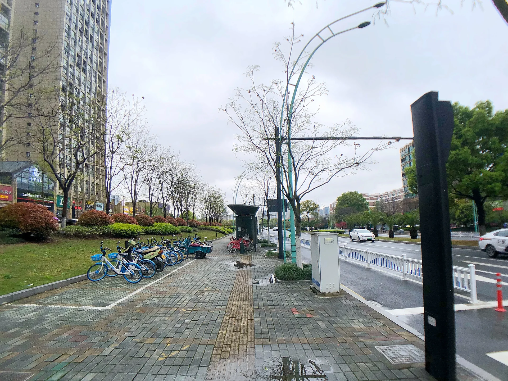 International Peninsula - Photo 10