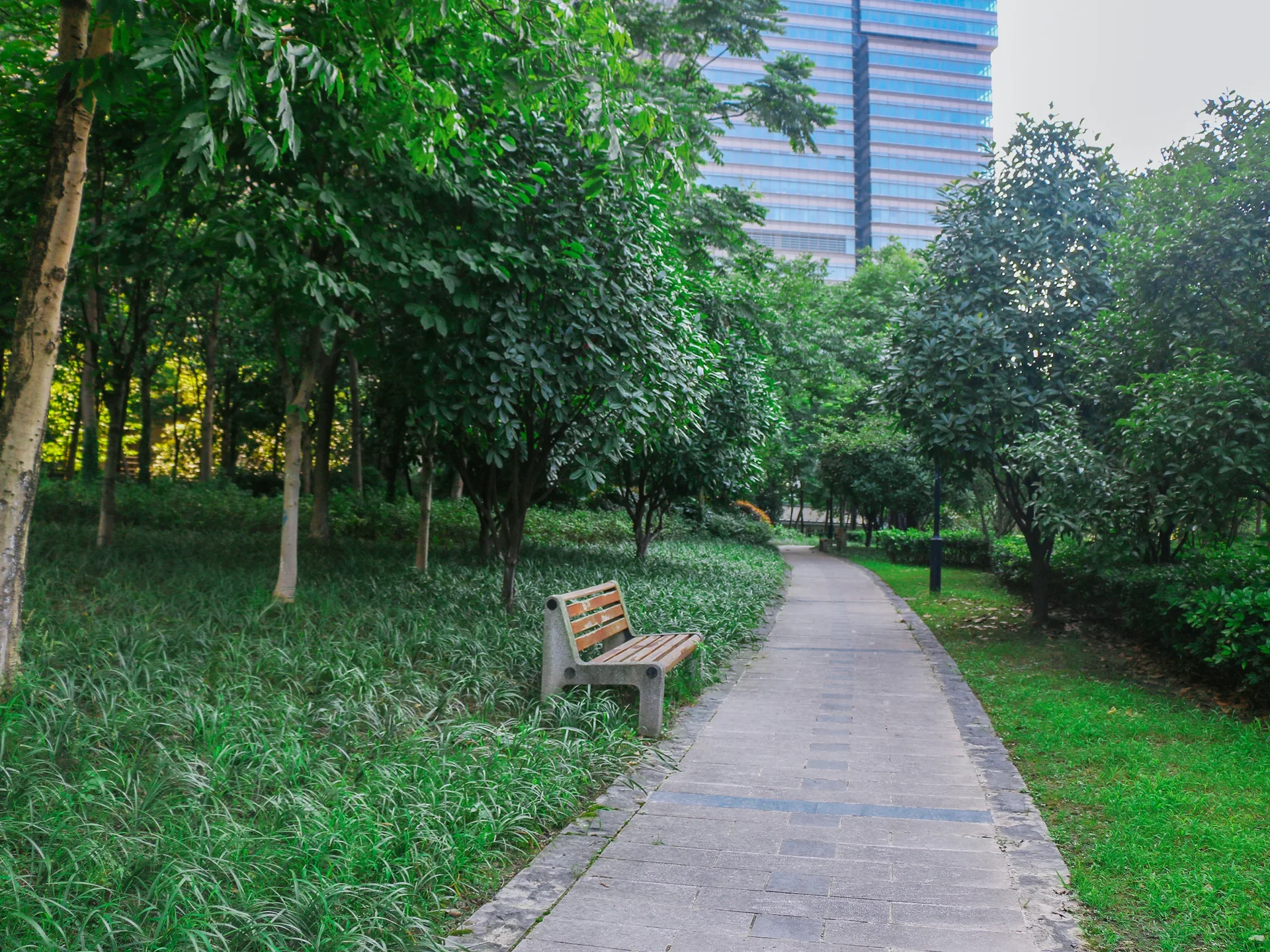 The Mixc Apartment - Photo 16