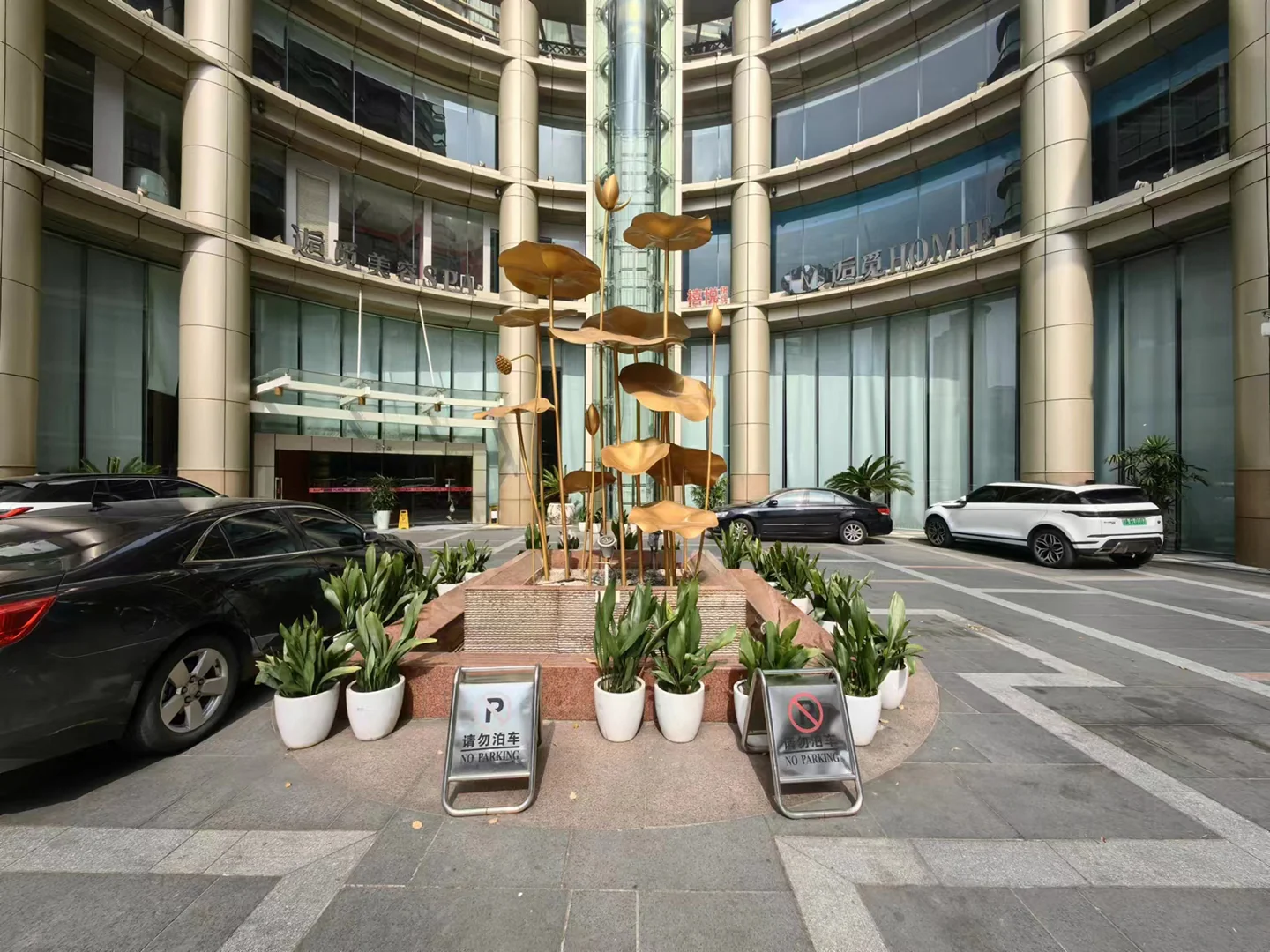 Oriental Golden - Photo 6