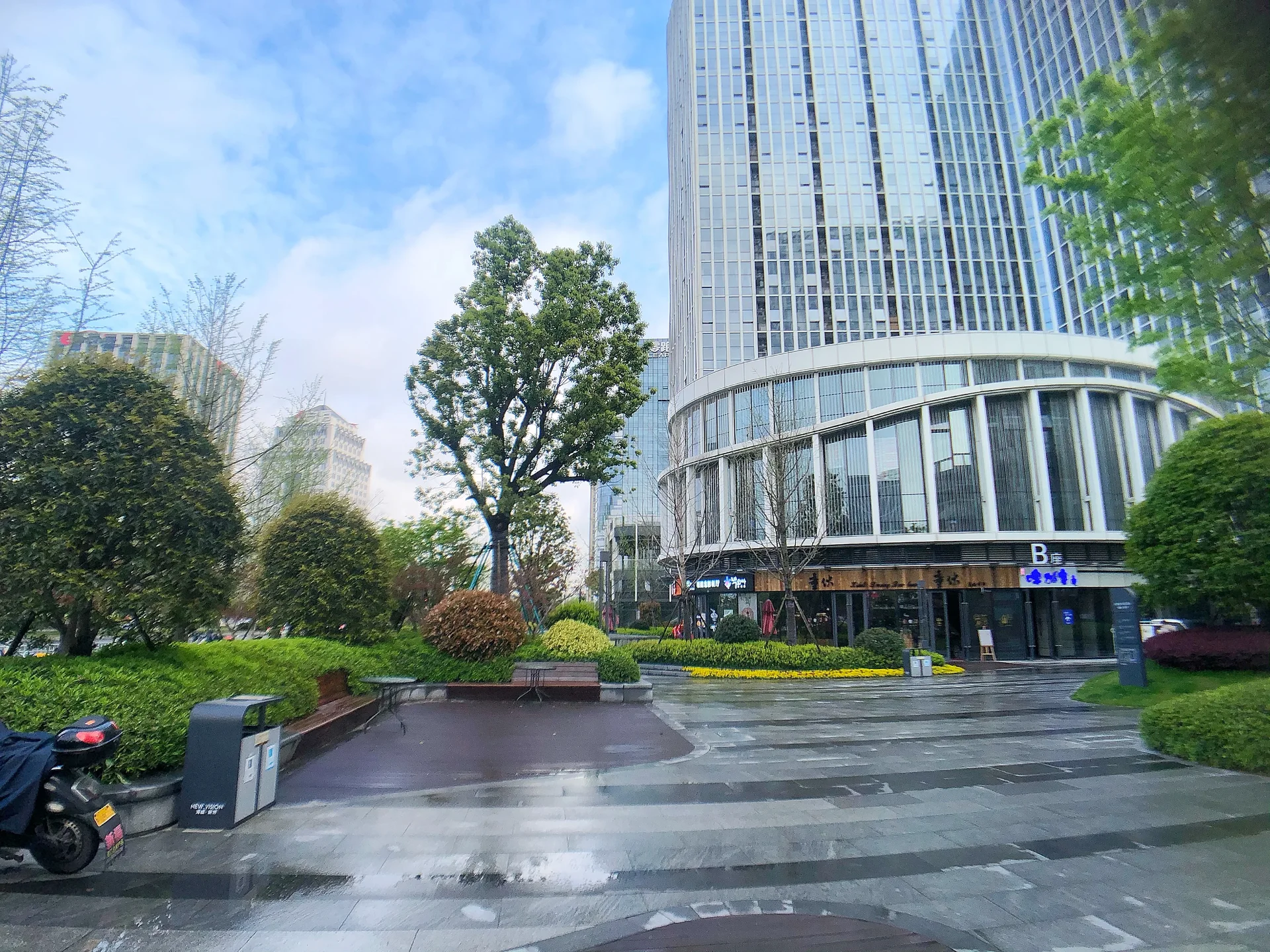 The New Edge - Photo 6