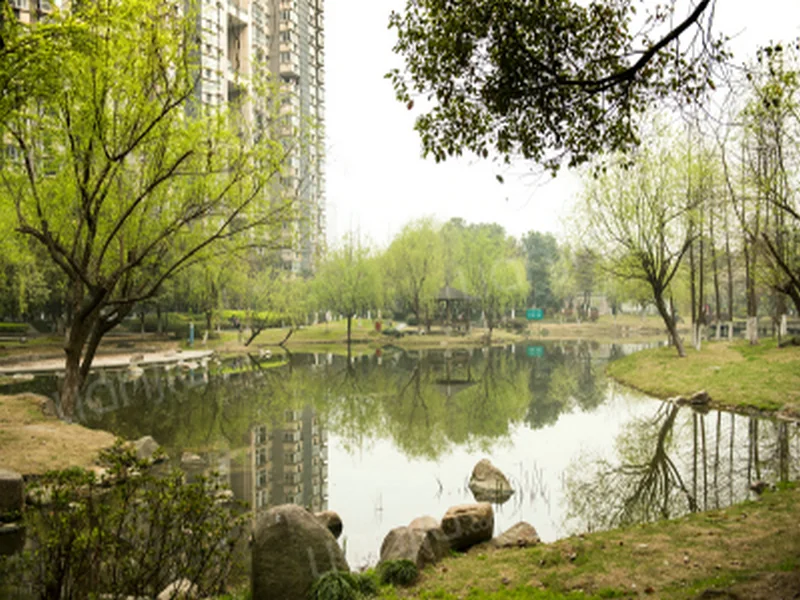 Modern  Garden - Photo 9