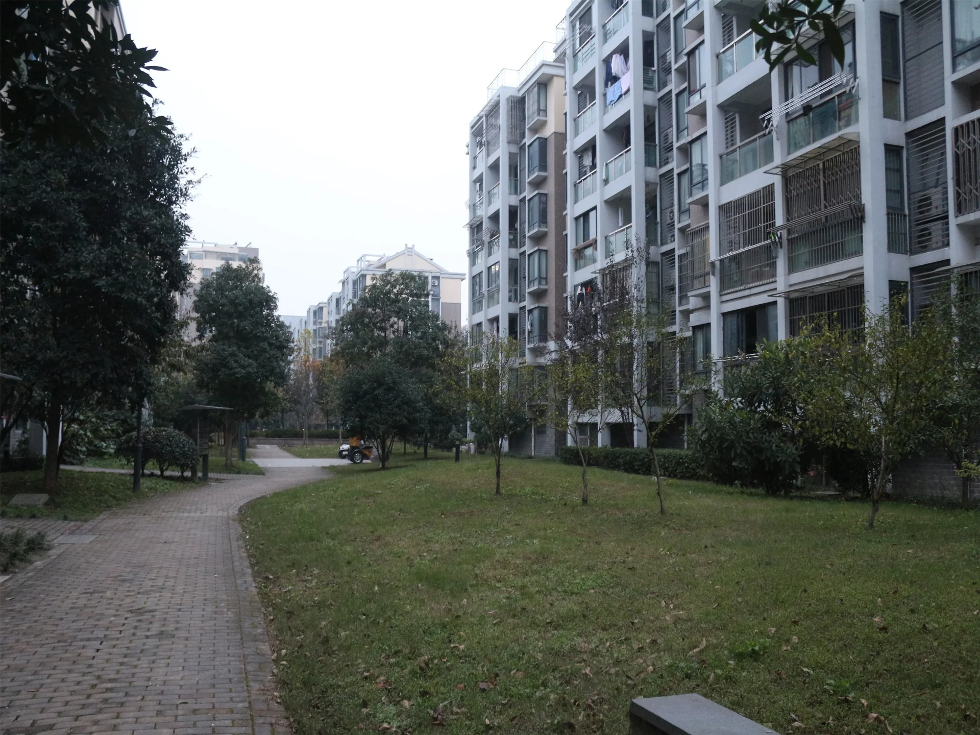 Harmony Garden - Photo 6