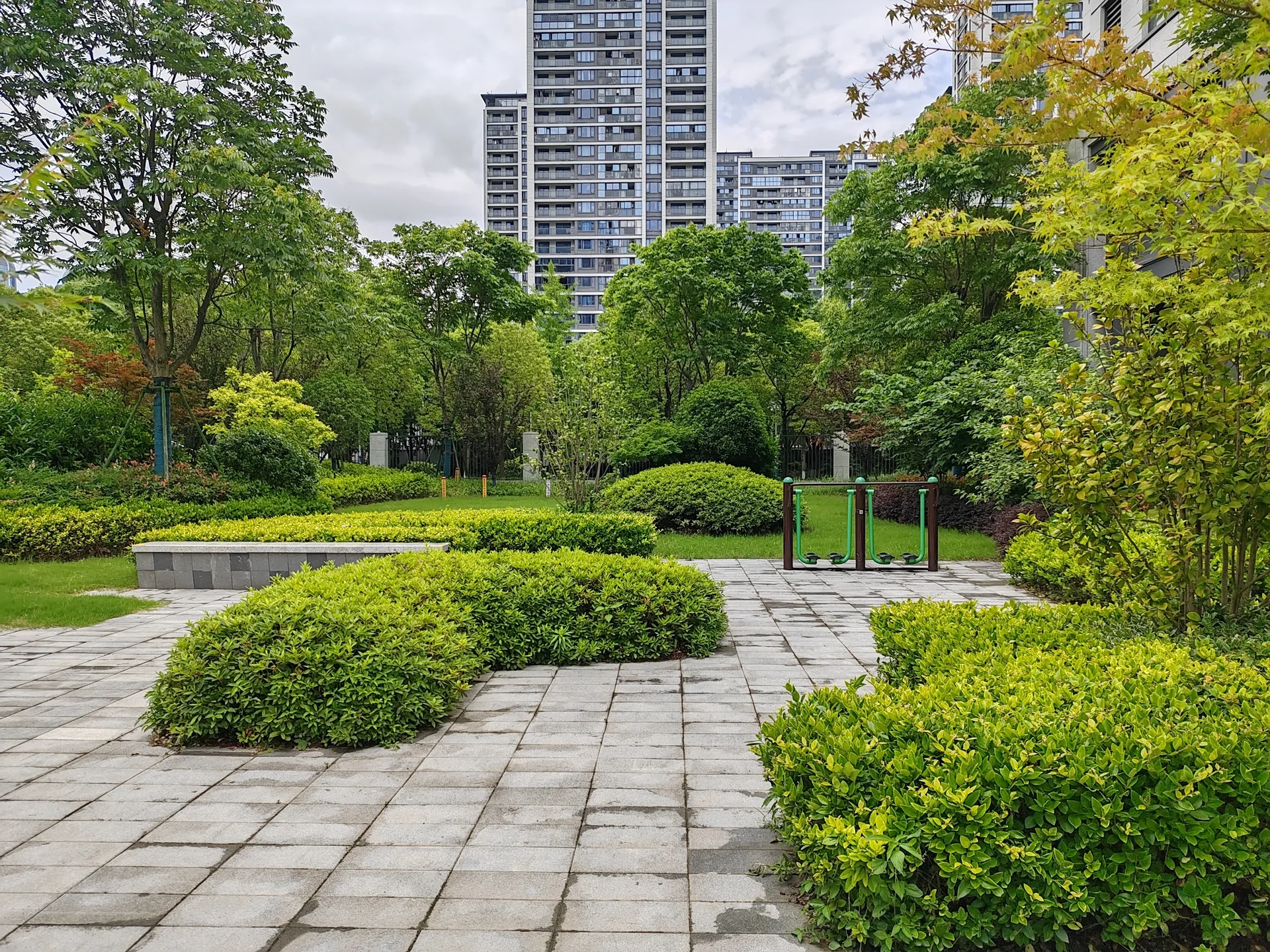 Thrive Manor - Photo 13