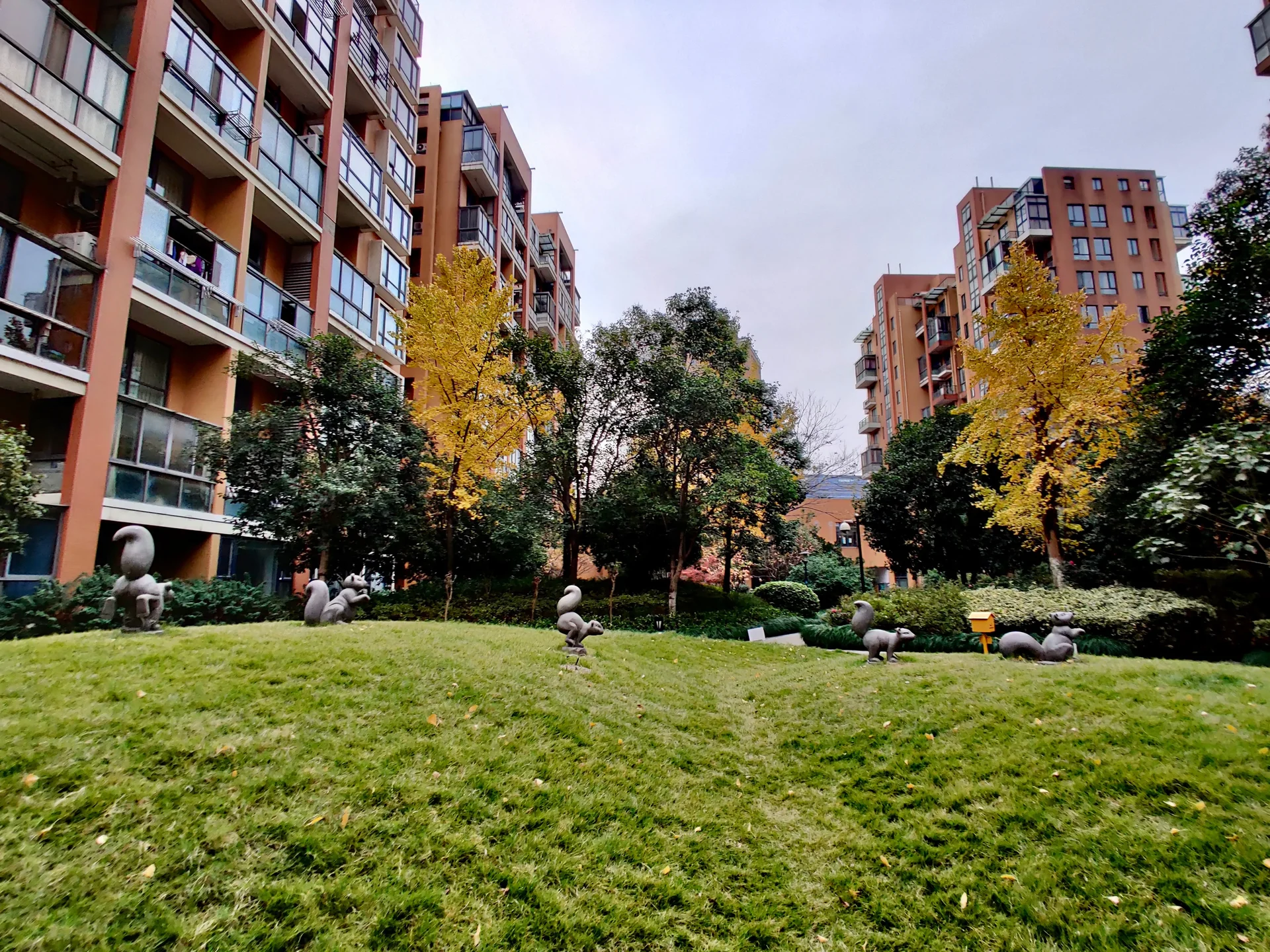 Oak Garden - Photo 6