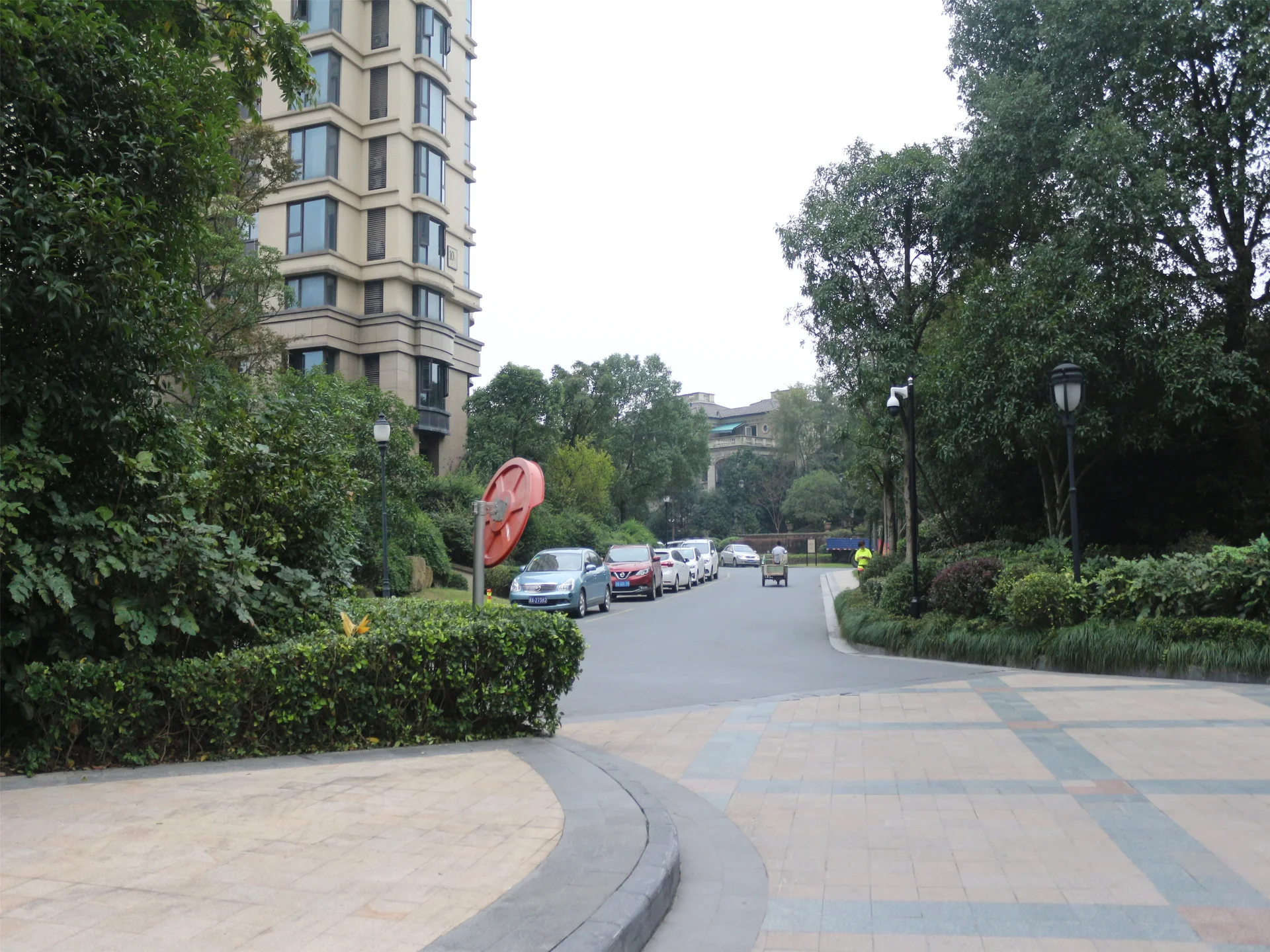 Tulip Shore - Photo 12