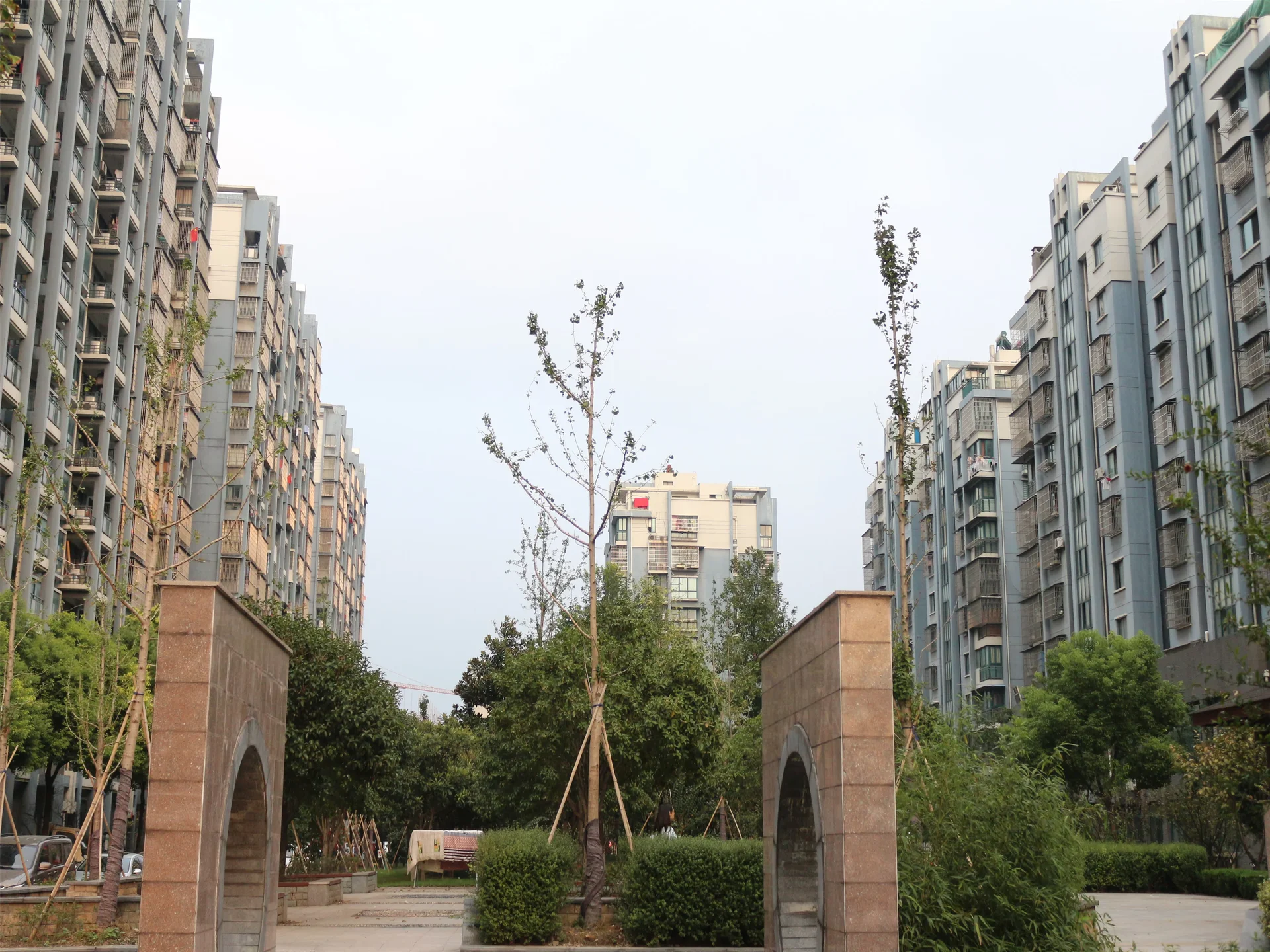 YC South Garden - Photo 12