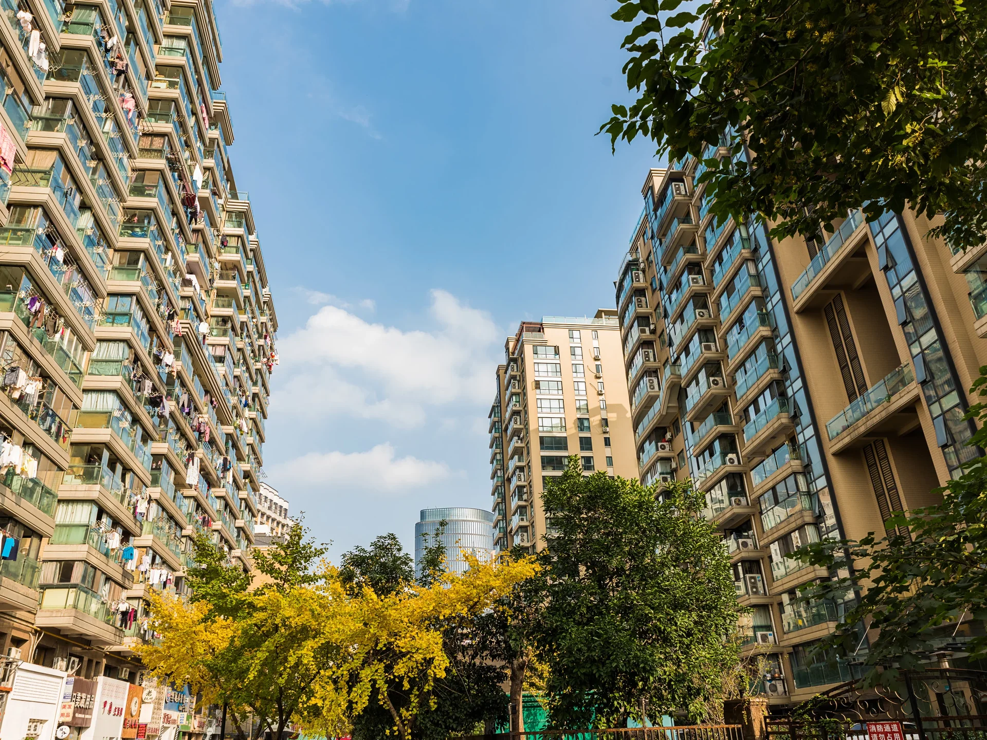 Xizi Noble Garden - Photo 17