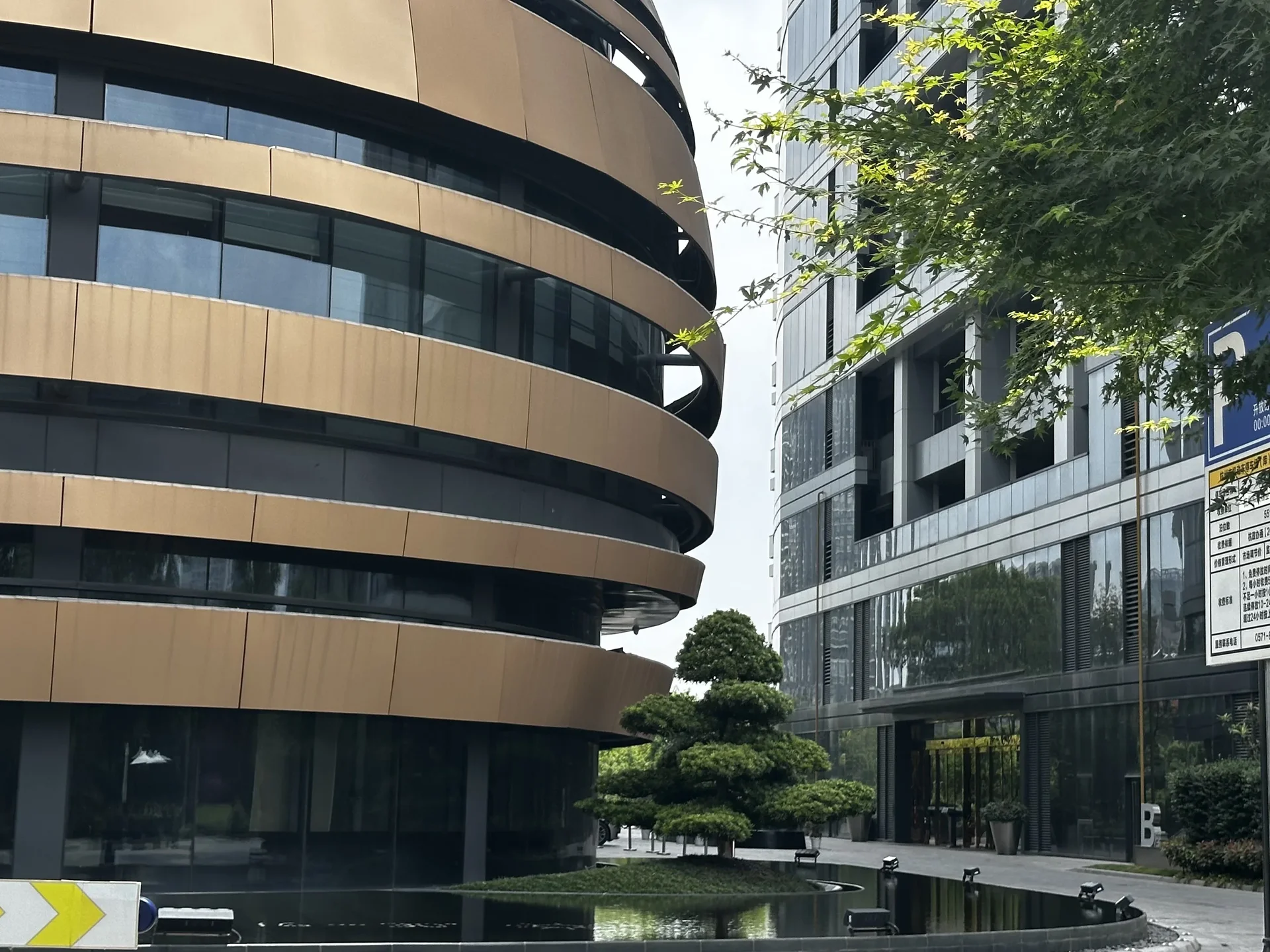 Zhong Ying Stars - Photo 3