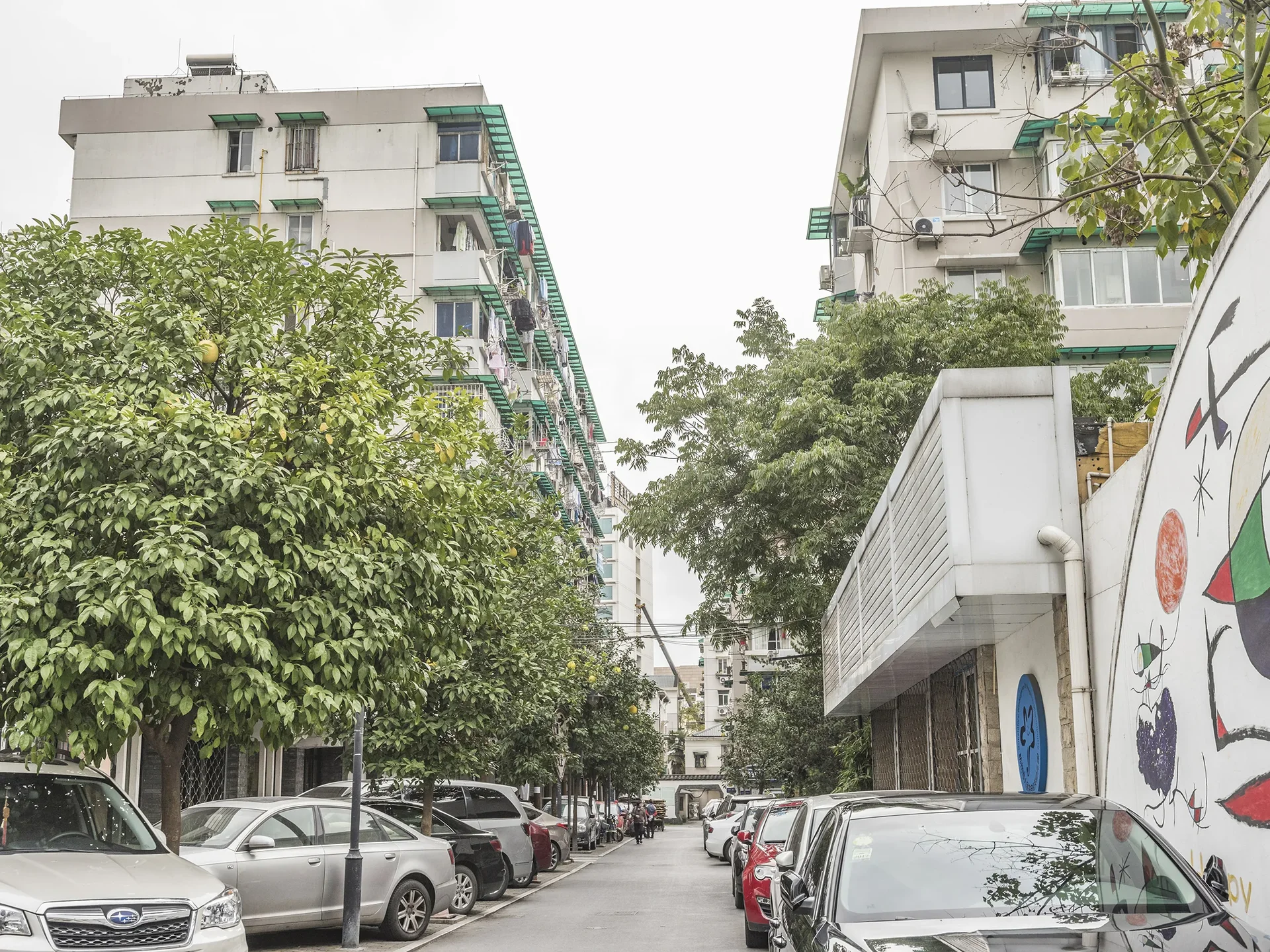 Dengxin Alley  - Photo 5