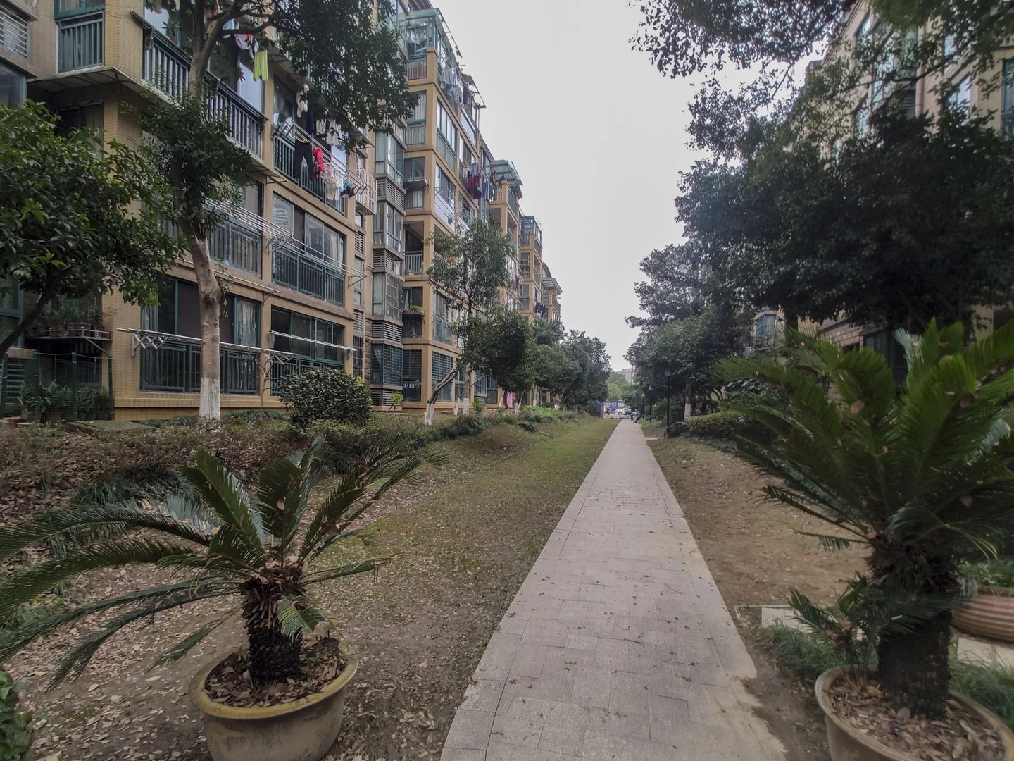 Flourish Garden - Photo 3