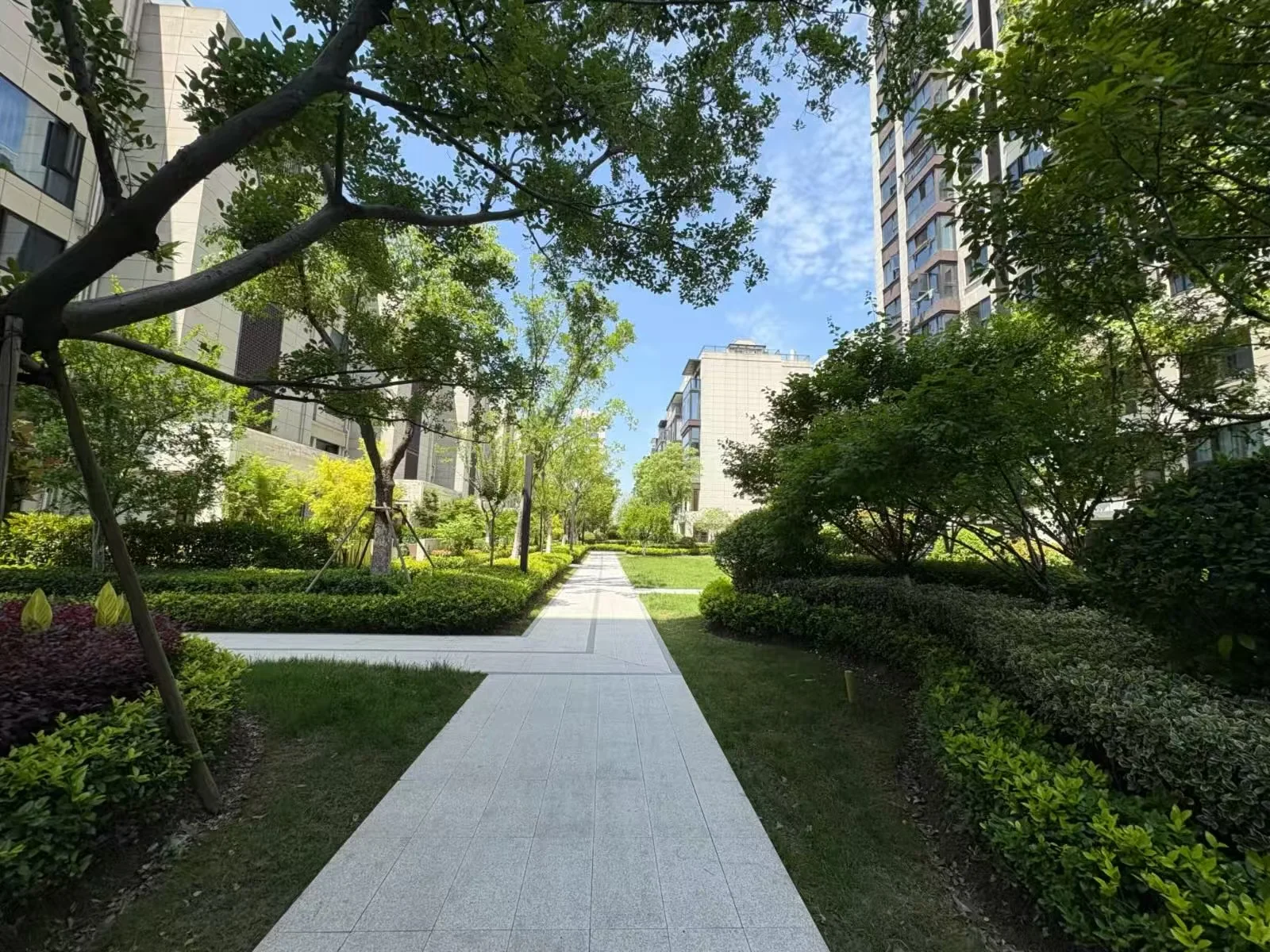 Auspicious Jiangnan Manor - Photo 3