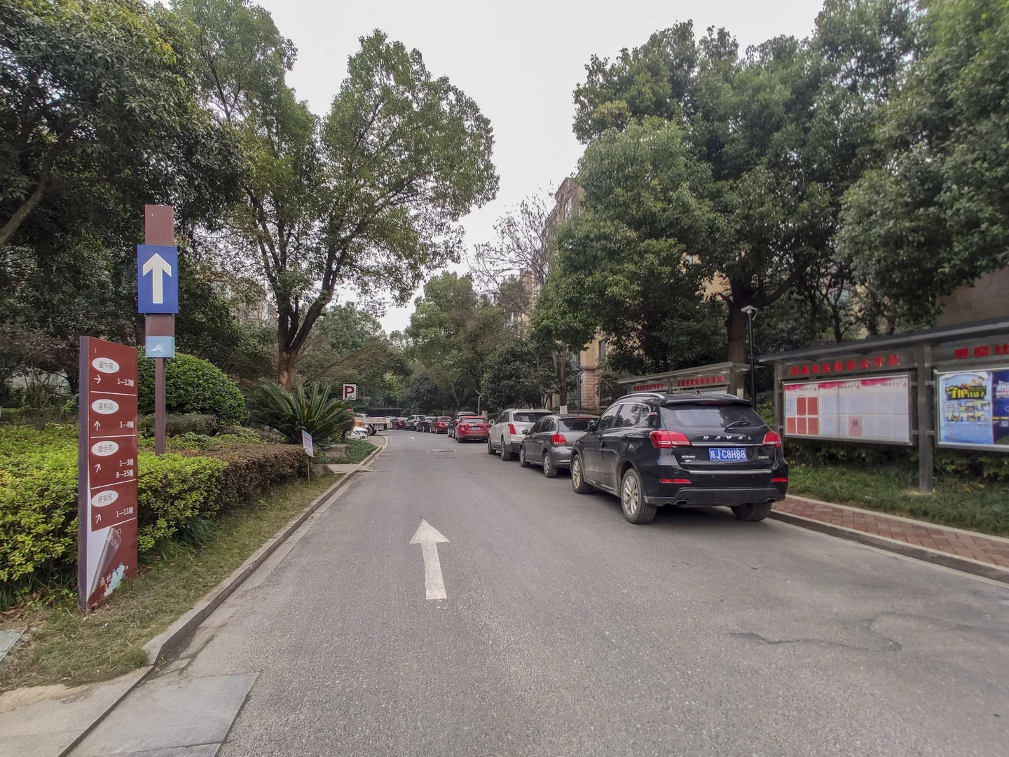 Flourish Garden - Photo 17