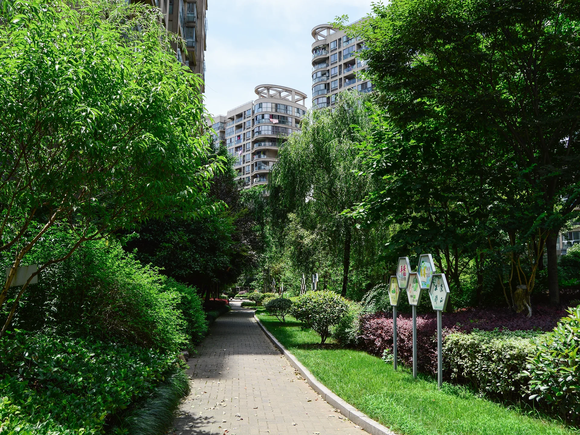 Red Street Apartments - Photo 13