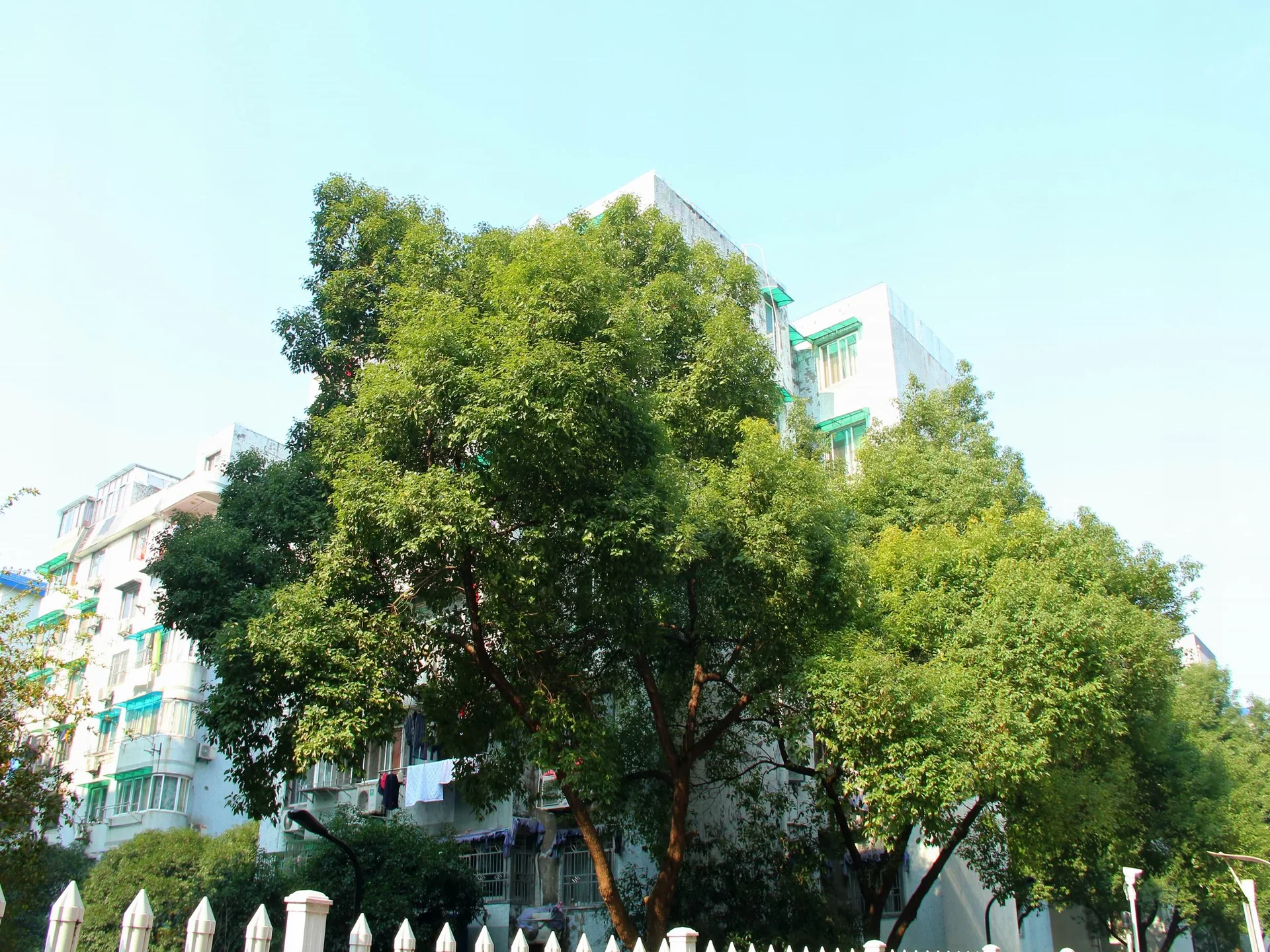 Nandu Garden - Photo 31