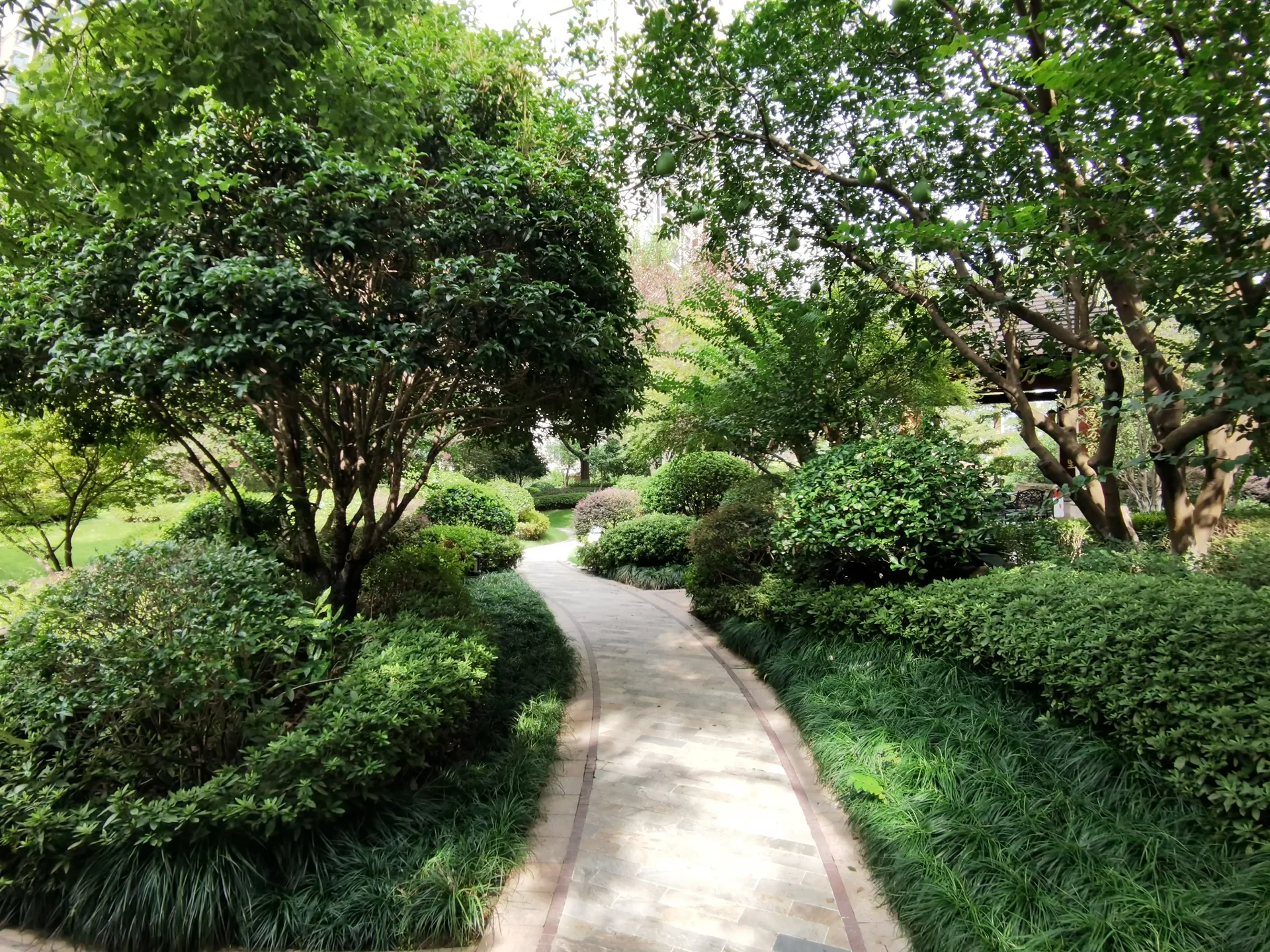 Wanjia City - Photo 7