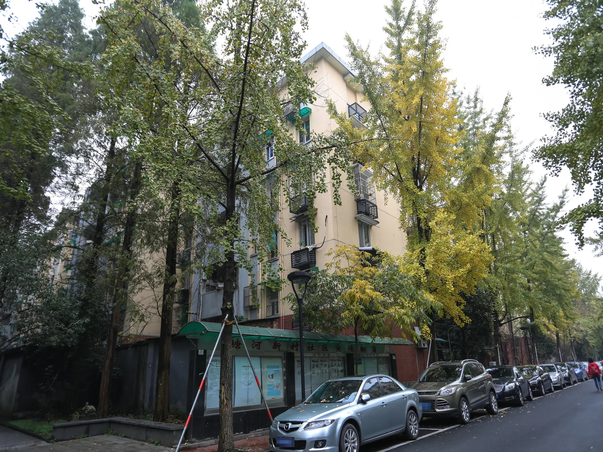 Tanghe New Village - Photo 10