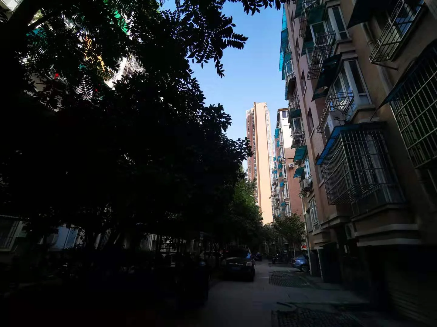 Jincheng Garden - Photo 9