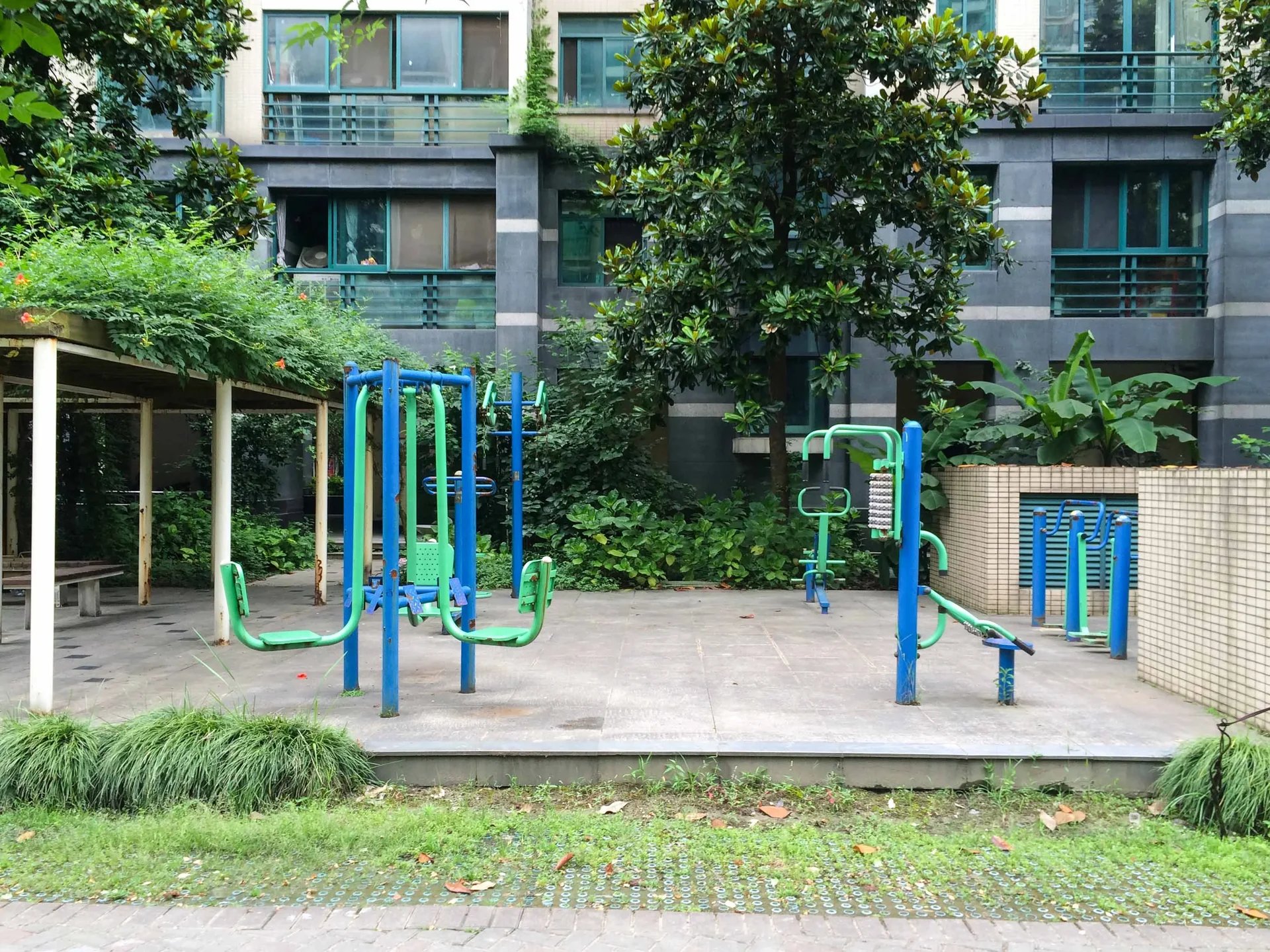 Qiantang Spring Dawn - Photo 8