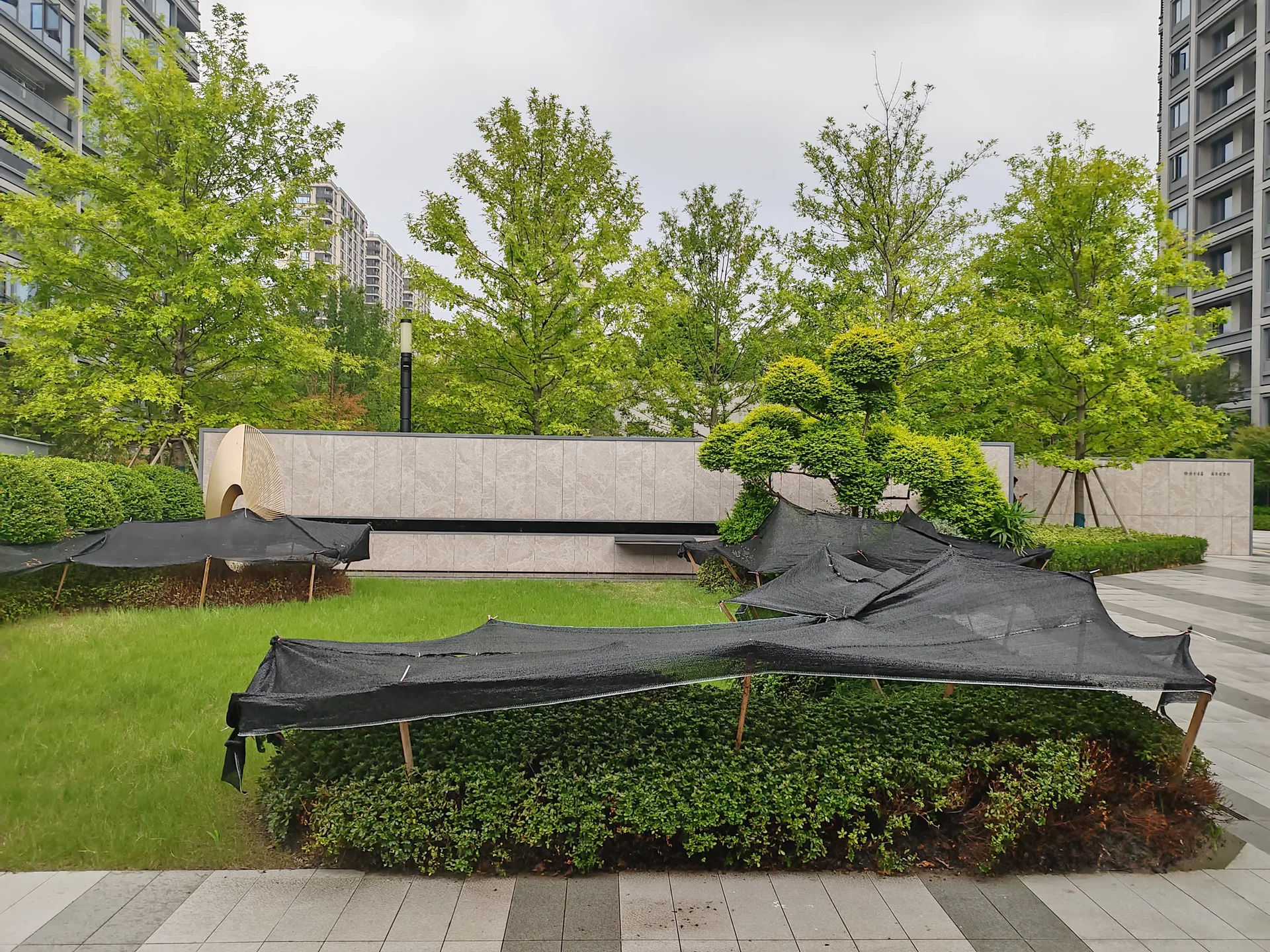 Olin Grace Mansion - Photo 3