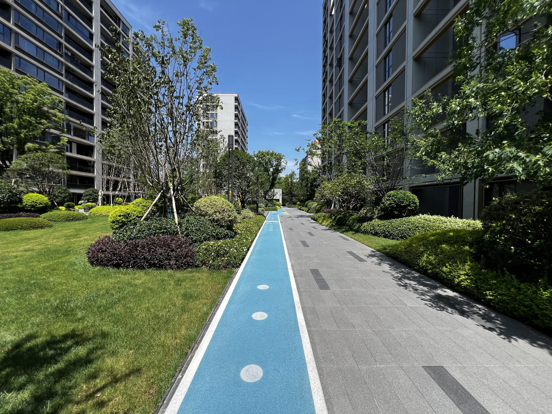 Spring Glow Star - Photo 2