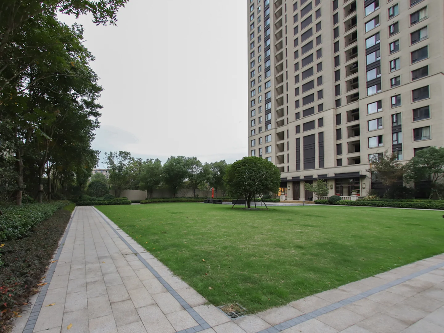 Golden Dawn Light - Photo 17