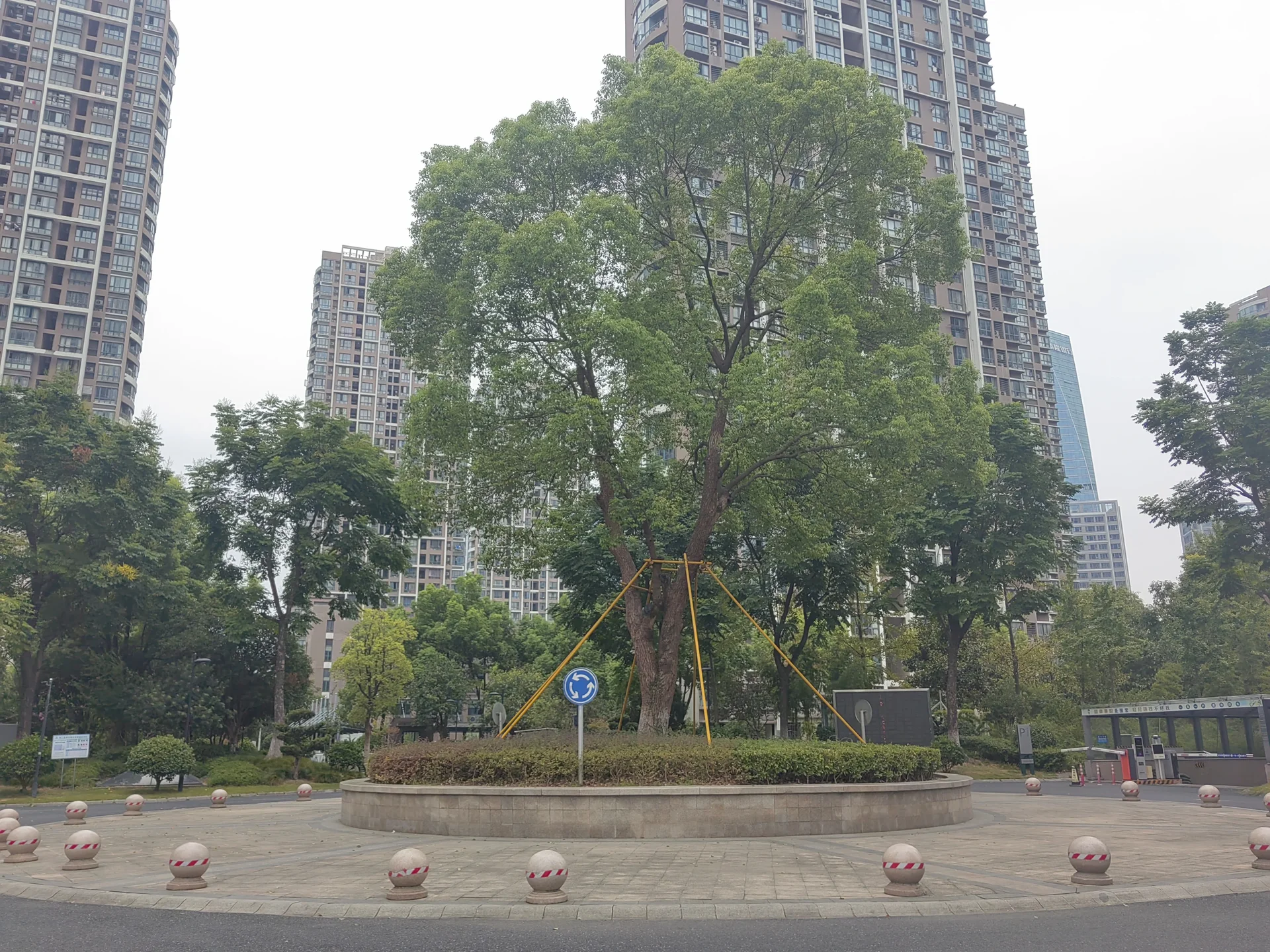 Li'er Garden Court - Photo 5