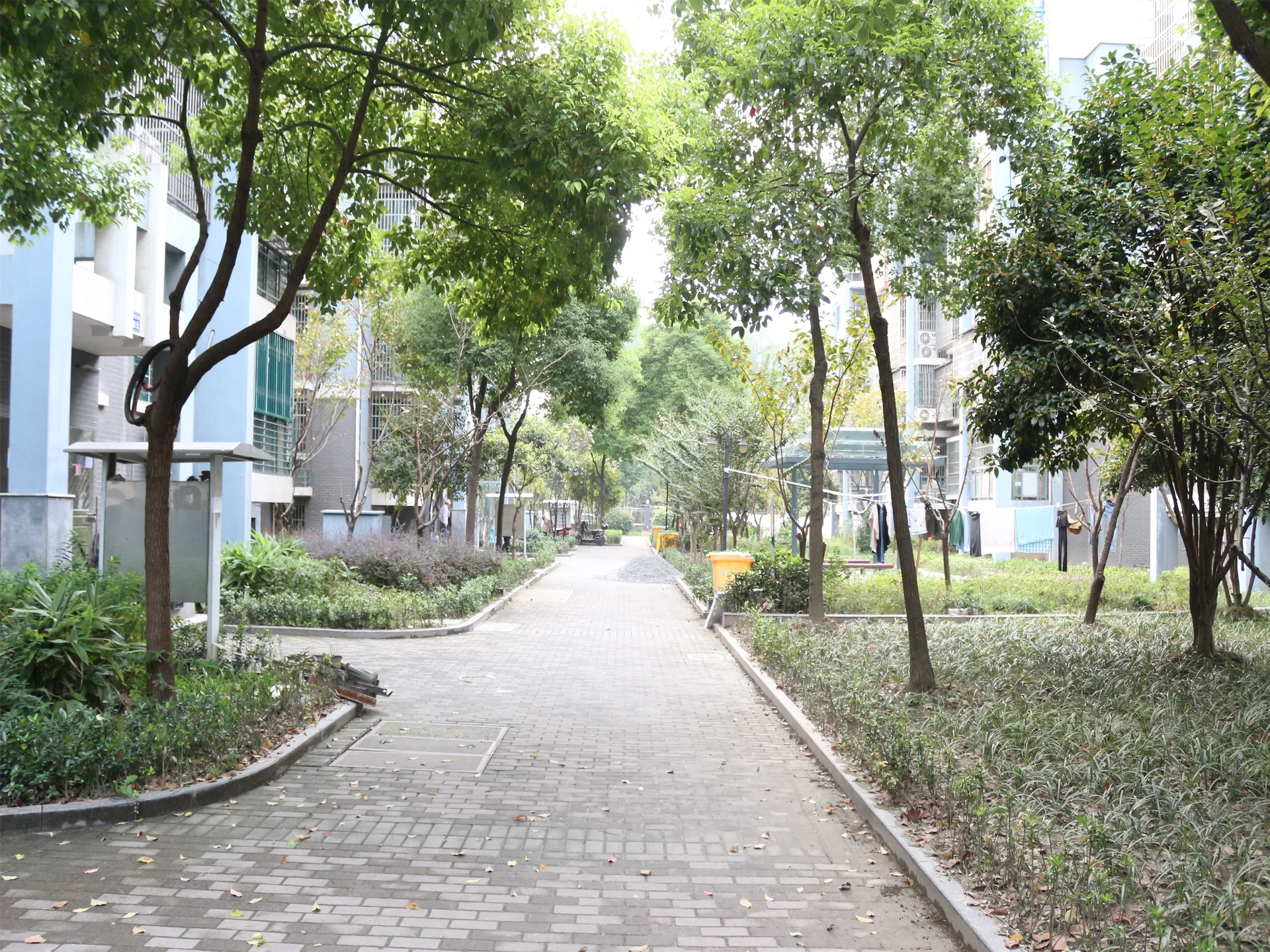 YC South Garden - Photo 13