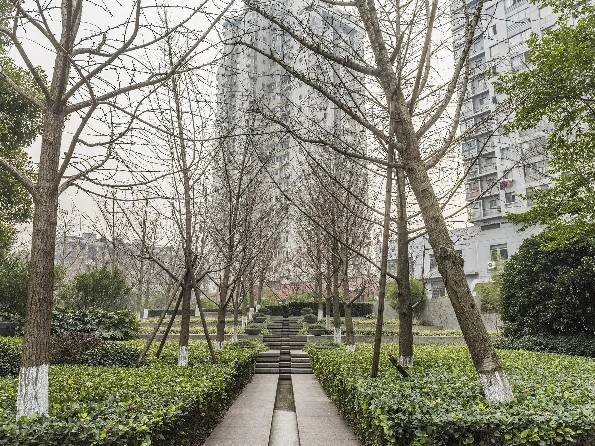 Jindu Matrix - Photo 12