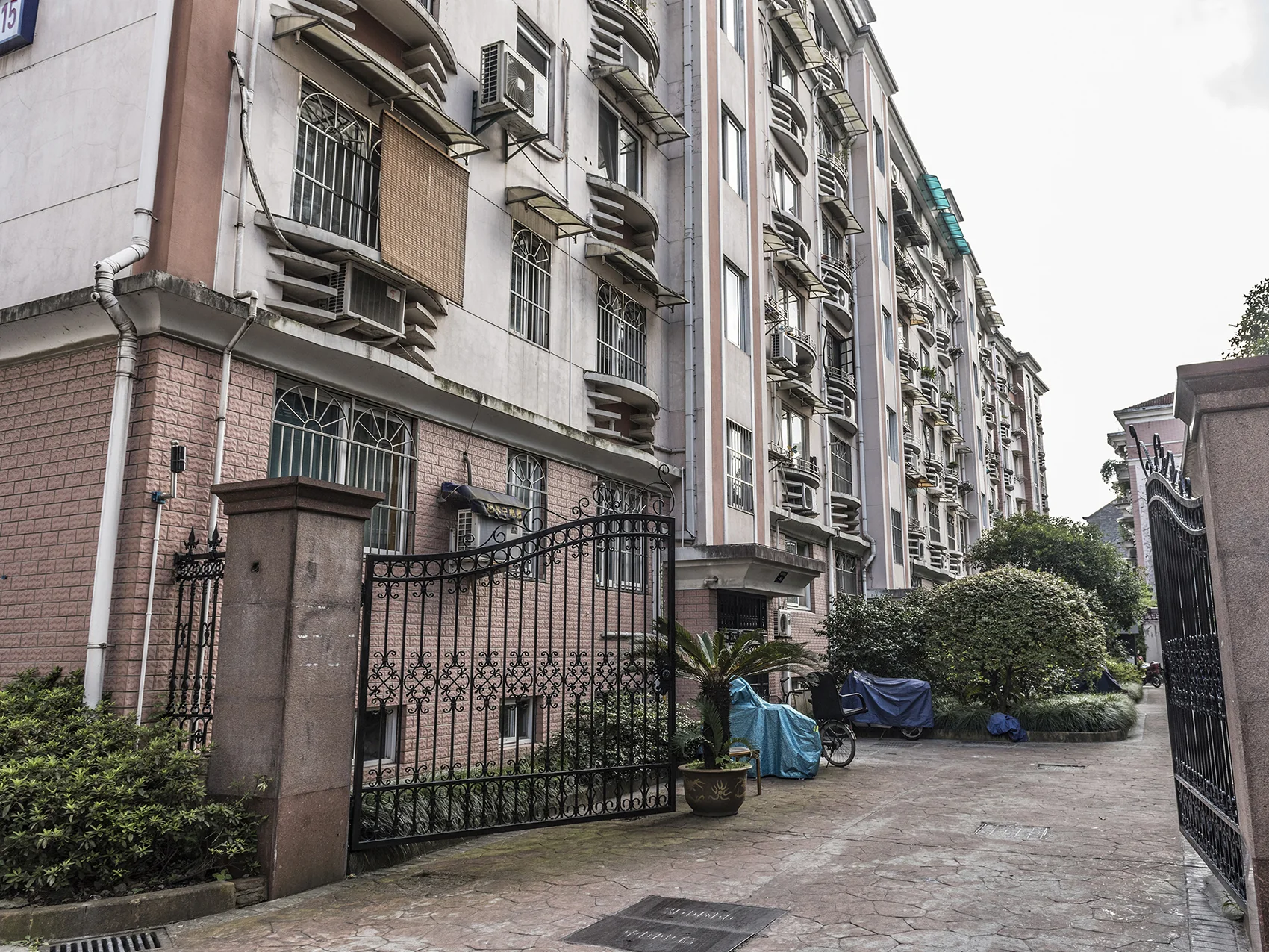 Willow Wave East Garden - Photo 10