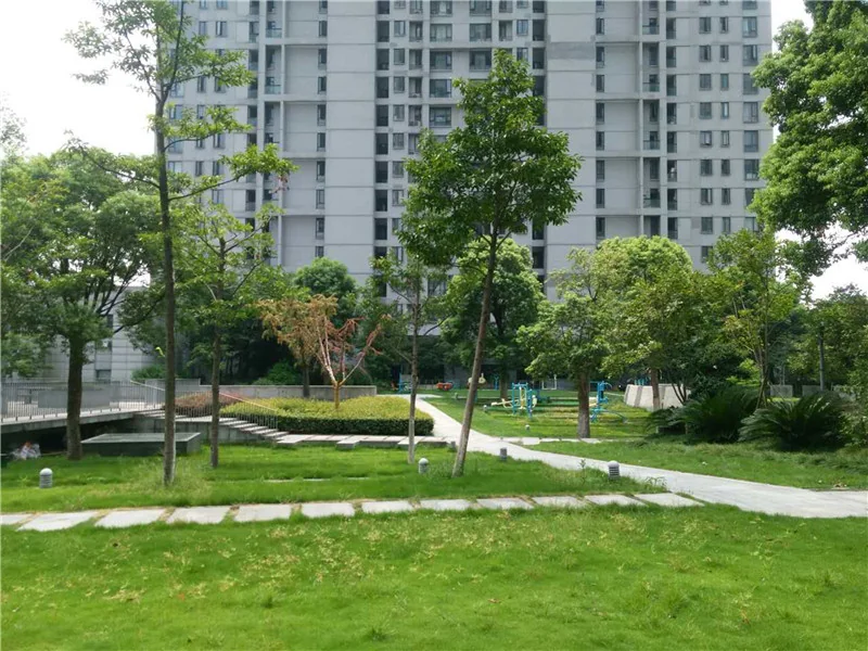 Enjoy Century - Photo 11