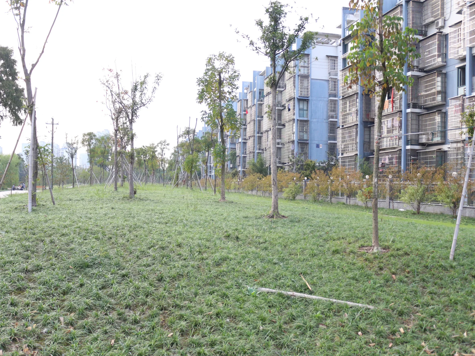 YC South Garden - Photo 17