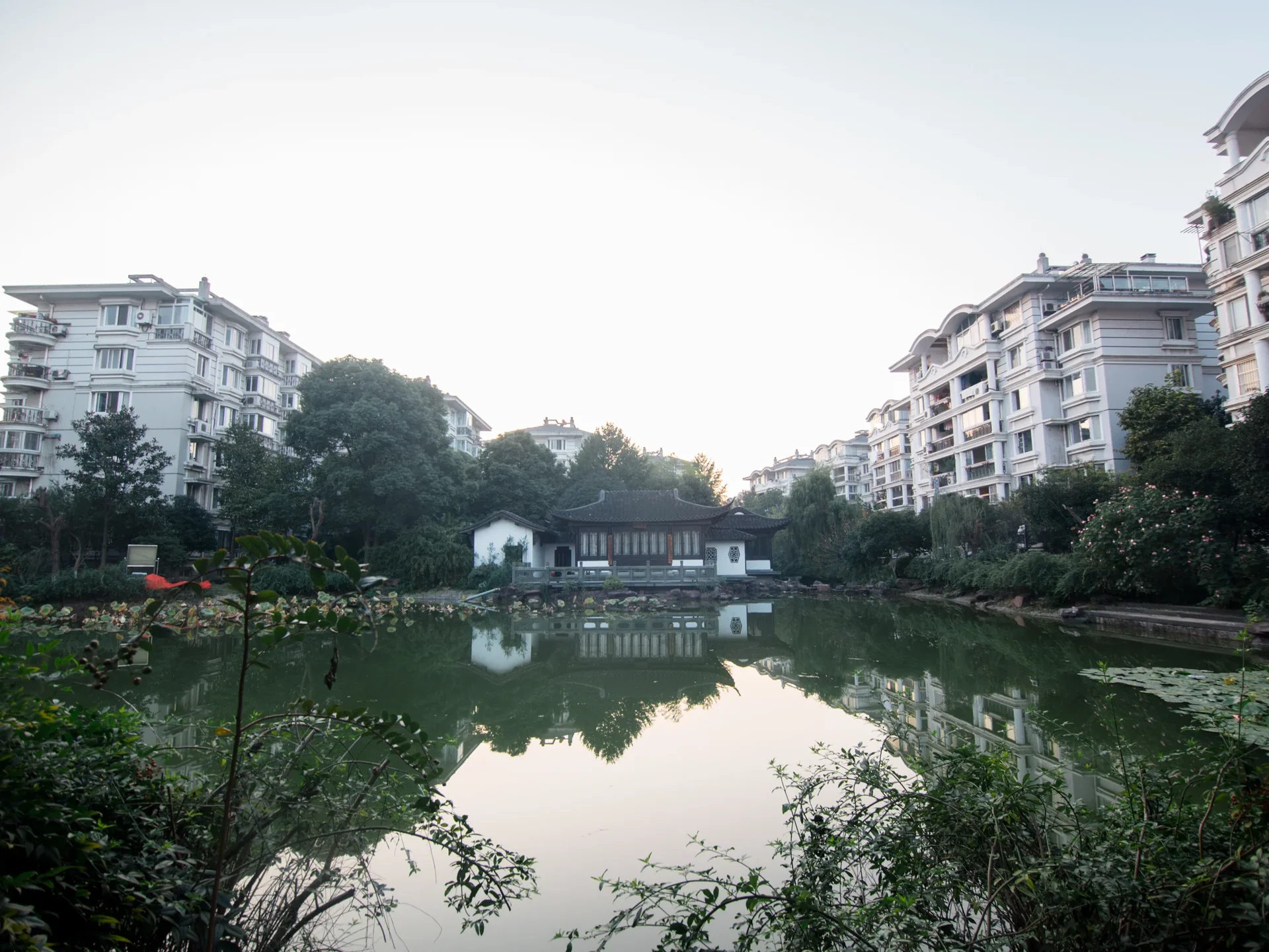 Eden View Garden - Photo 15