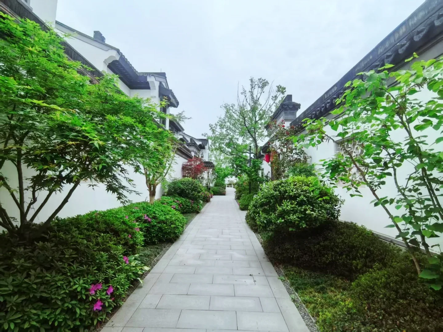 South Lake Moon  - Photo 9