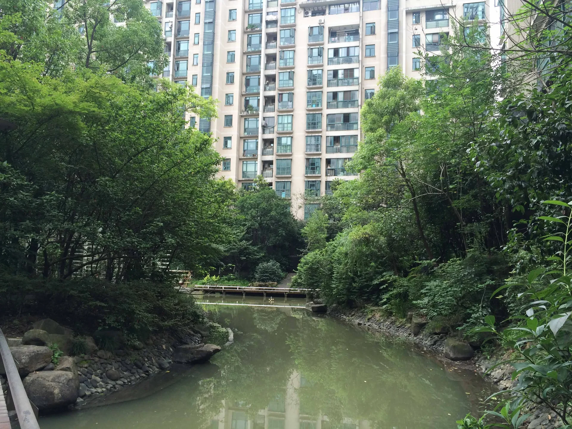 Qiantang Spring Dawn - Photo 13