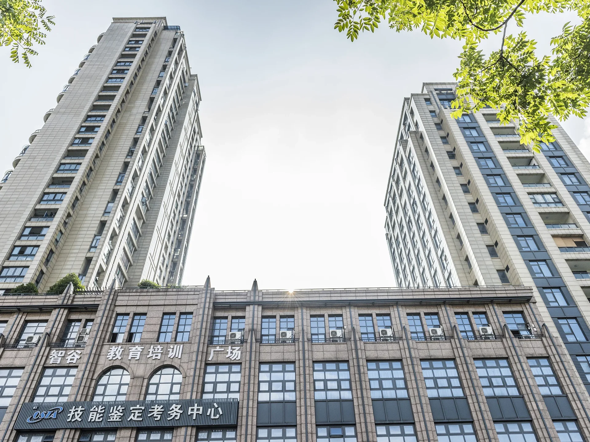 Purple Jade - Photo 5