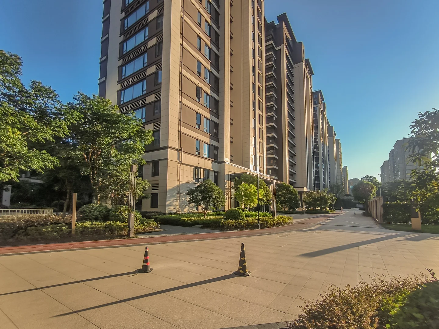 Star Future  - Photo 3